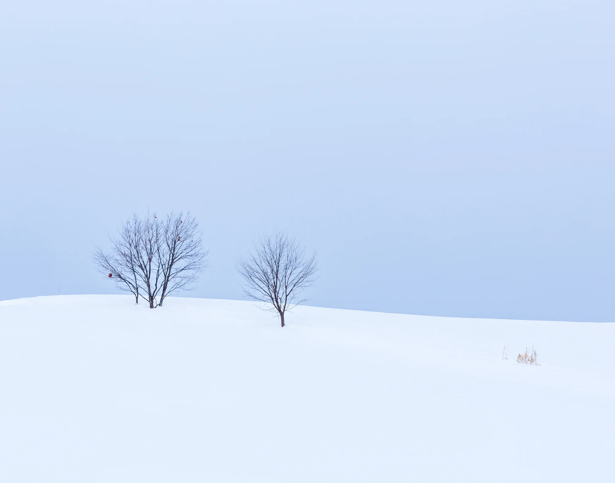 4. Hokkaido, Japan
