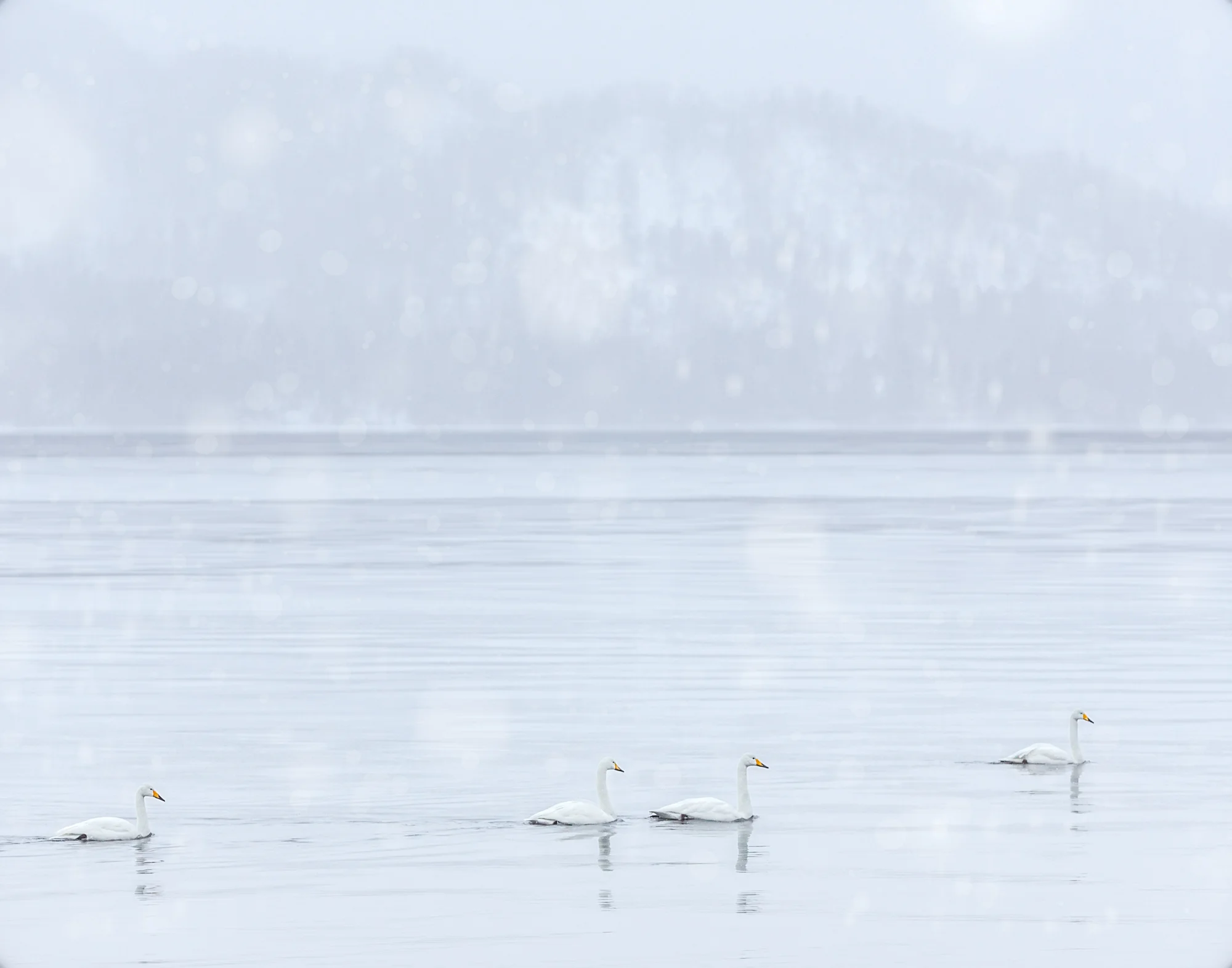 9. Lake Kusharro, Hokkaido, Japan