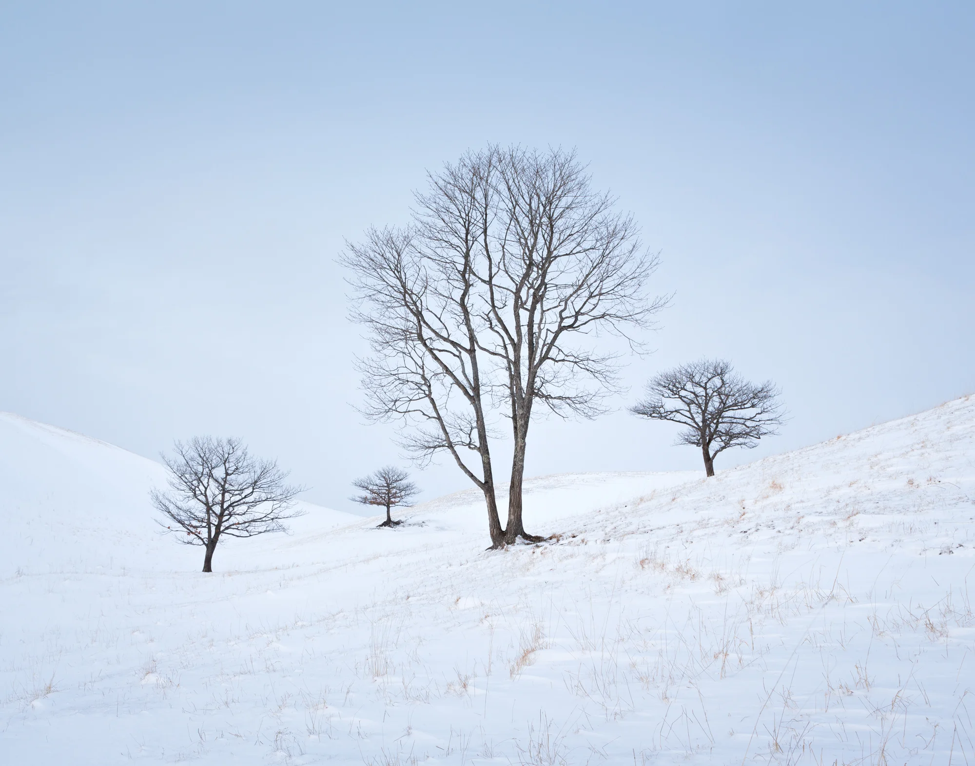 5. Eastern Hokkaido, Japan