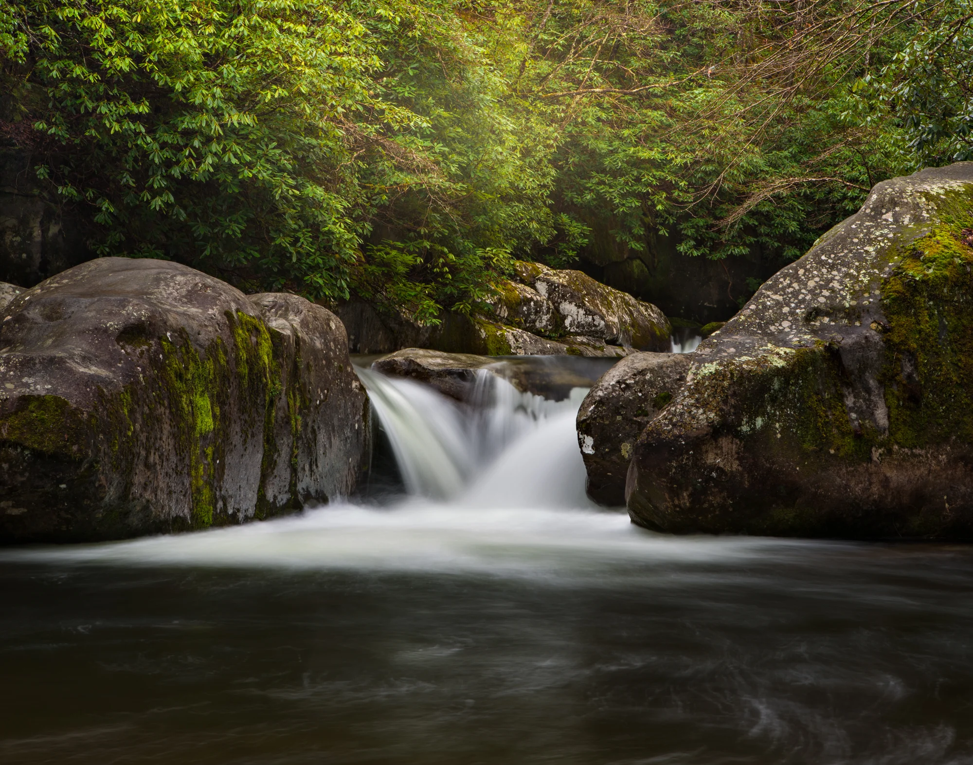 29. Big Creek, Great Smoky Mountains National Park, Tennessee