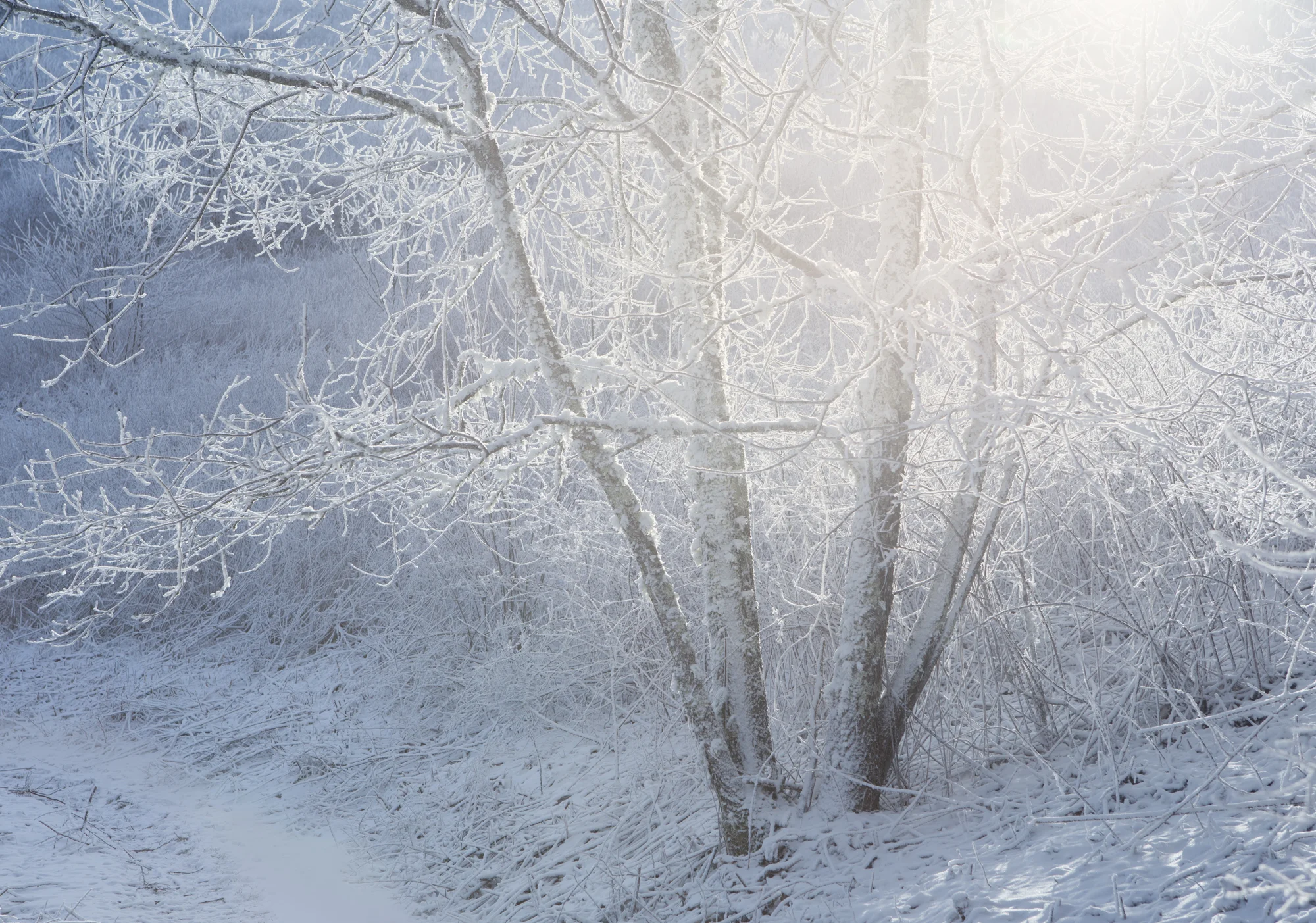 5. Max Patch, North Carolina