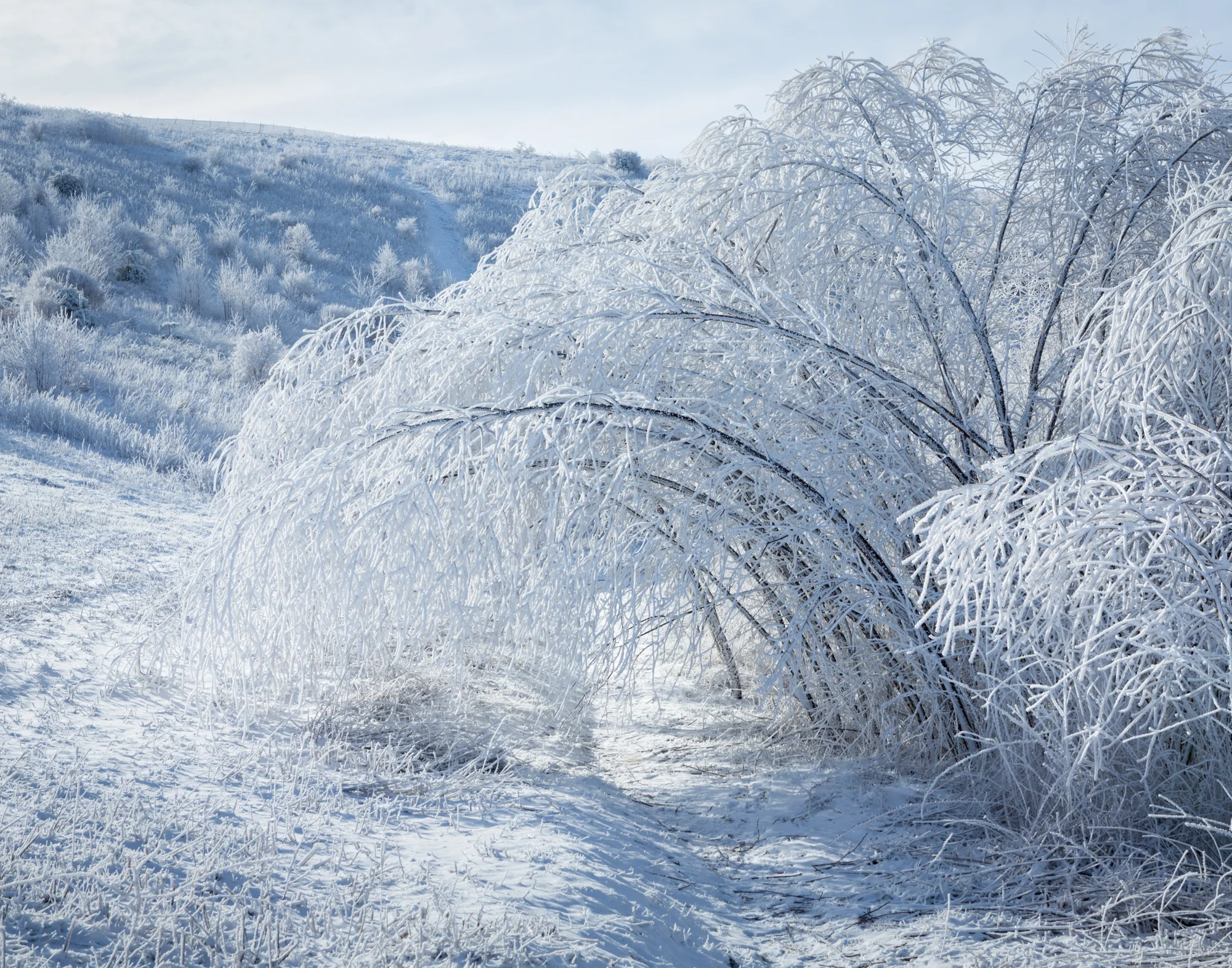 7. Max Patch, North Carolina
