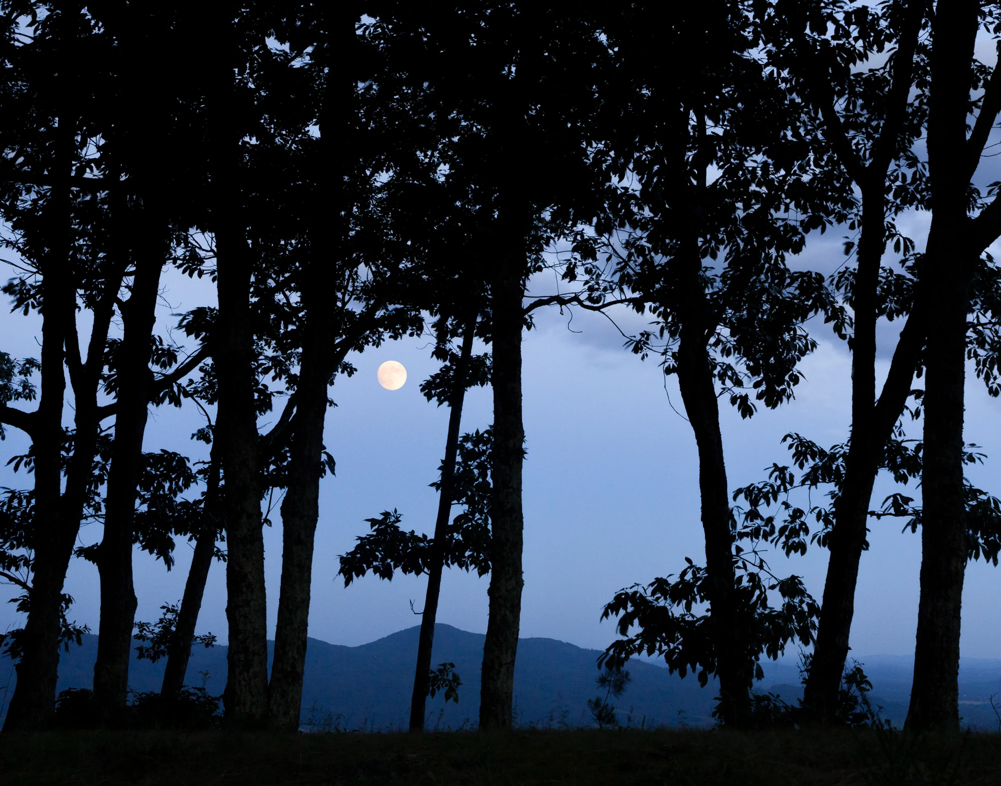 33. Blue Ridge Parkway, Virginia