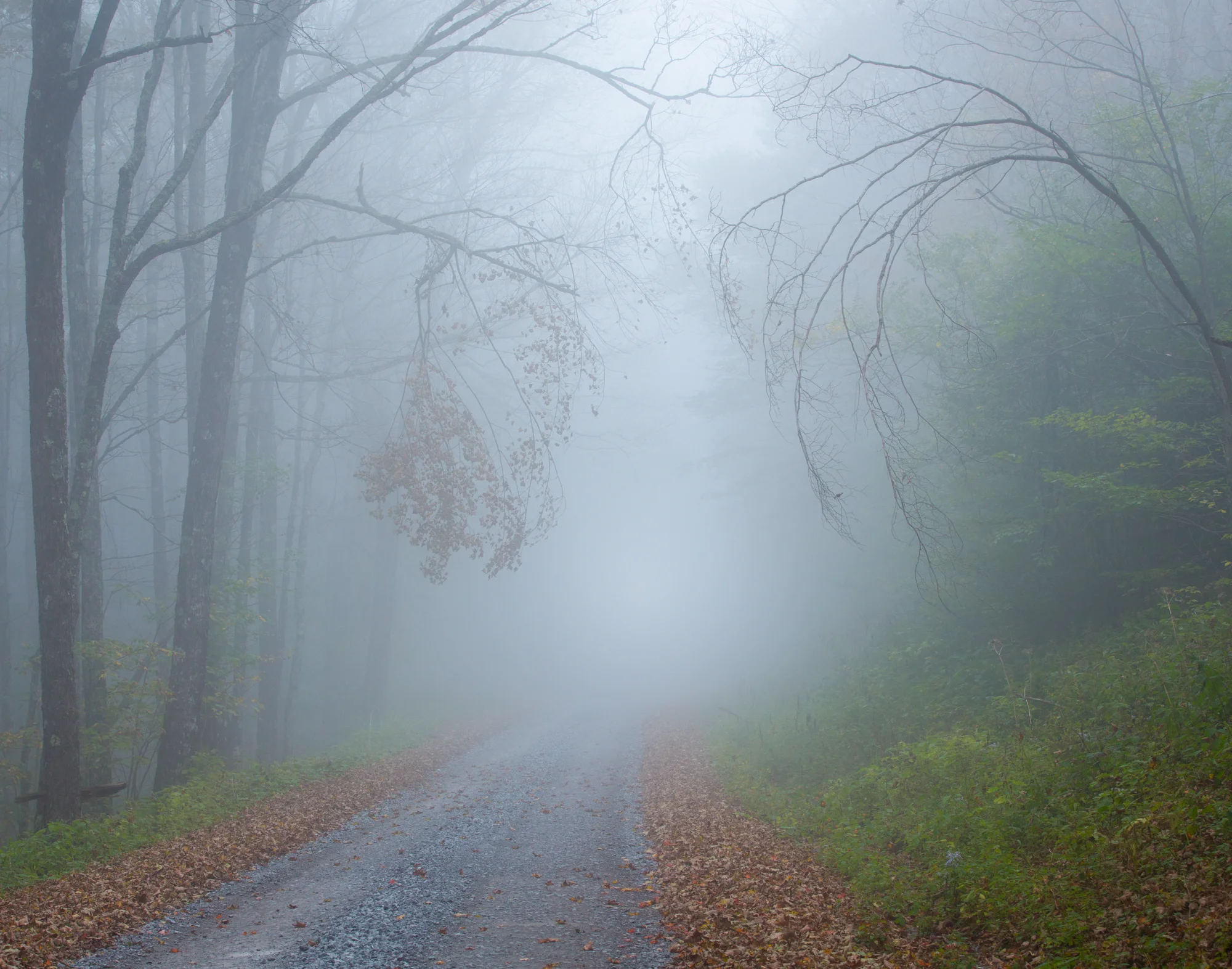 41. Spruce Knob, West Virginia
