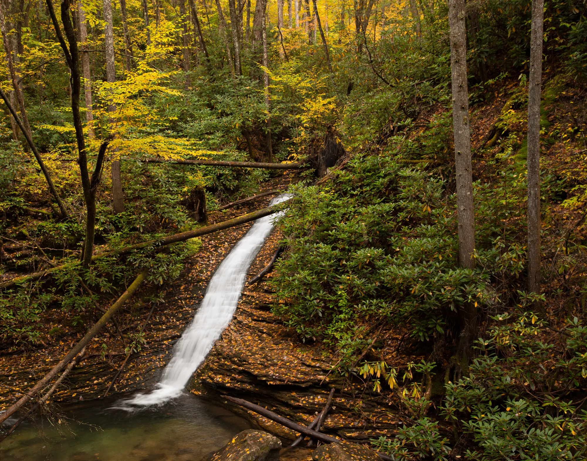 60. Devil's Fork, Jefferson National Forest, Virginia