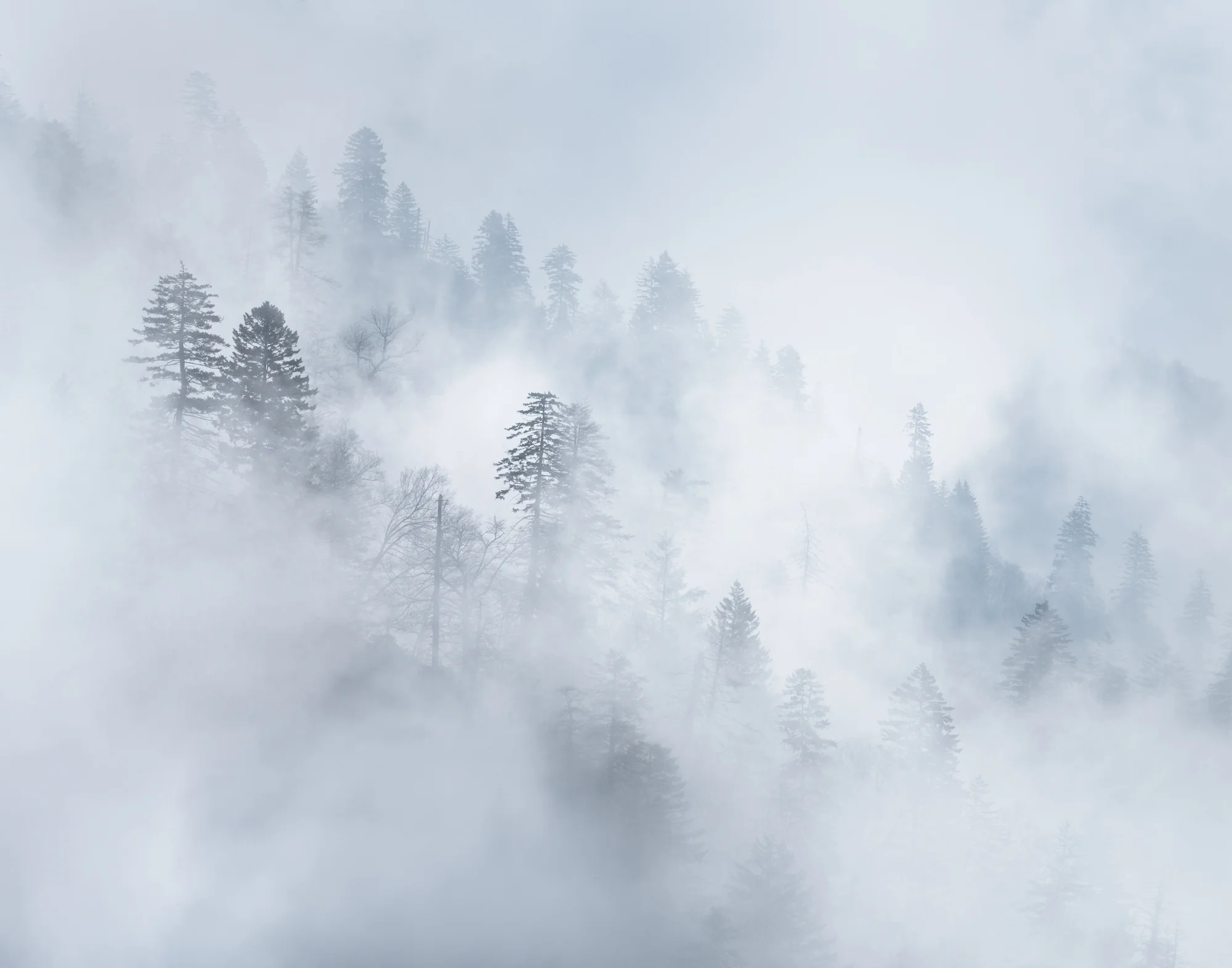 1. Great Smoky Mountains National Park, Tennessee