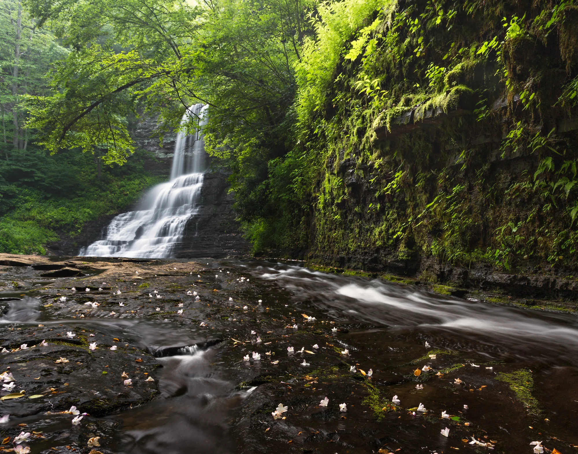 25. The Cascades, Jefferson National Forest, Virginia