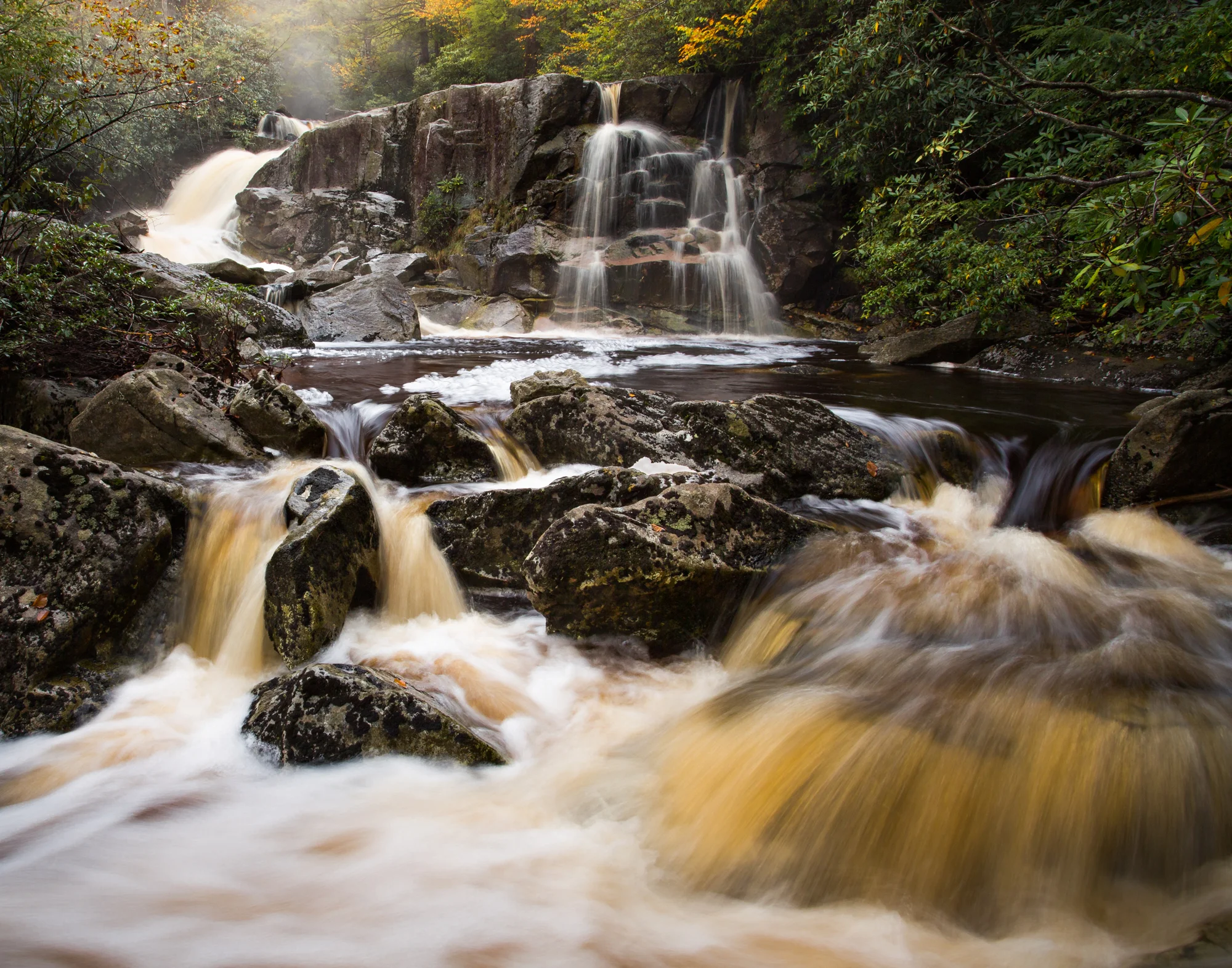 52. Big Run, Monongahela National Forest, West Virginia