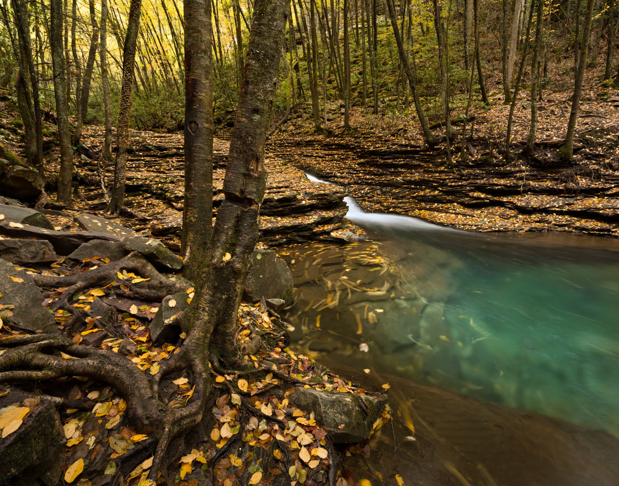 64. Devil's Fork, Jefferson National Forest, Virginia