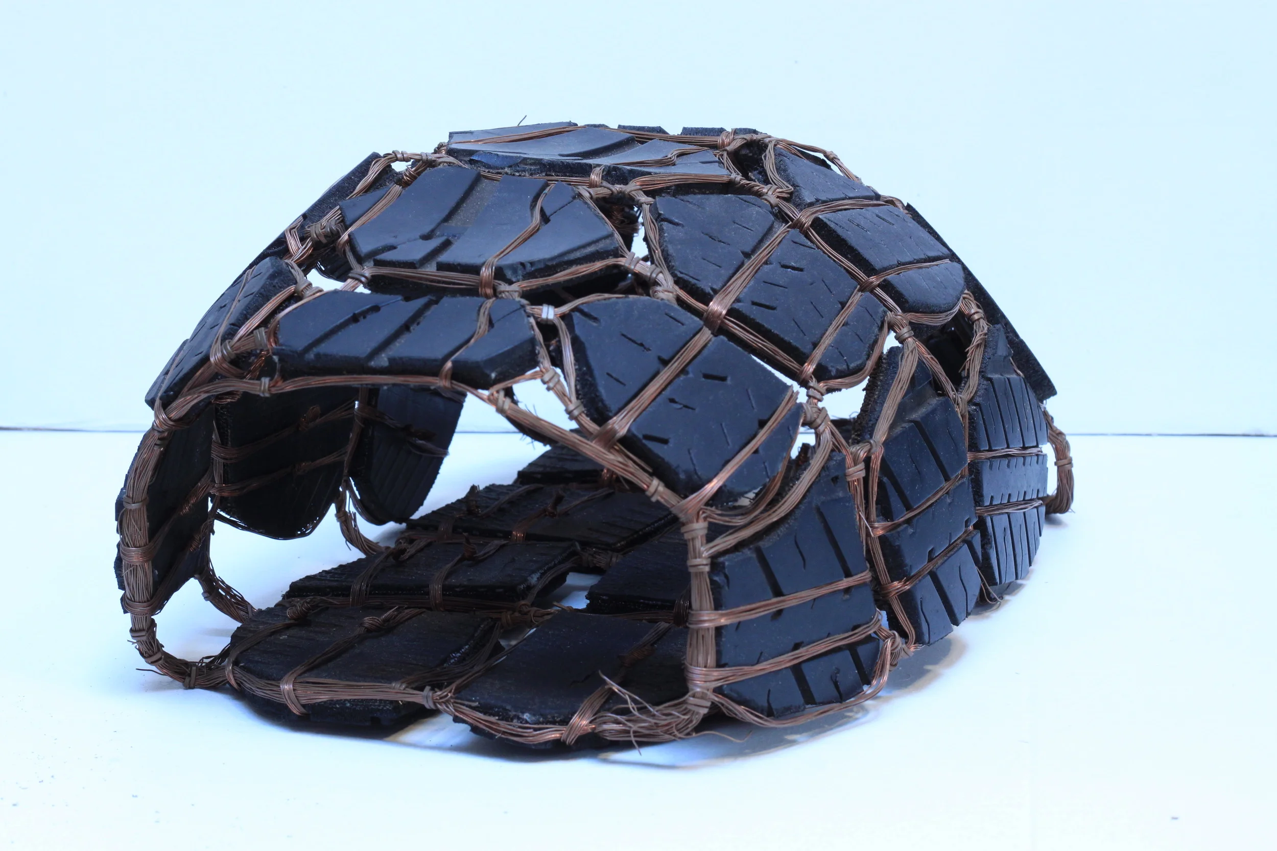 'Distention of the Shell' 