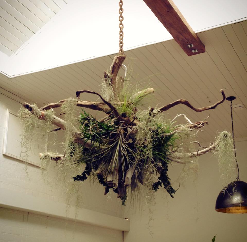 BOTANICAL SCULPTURES