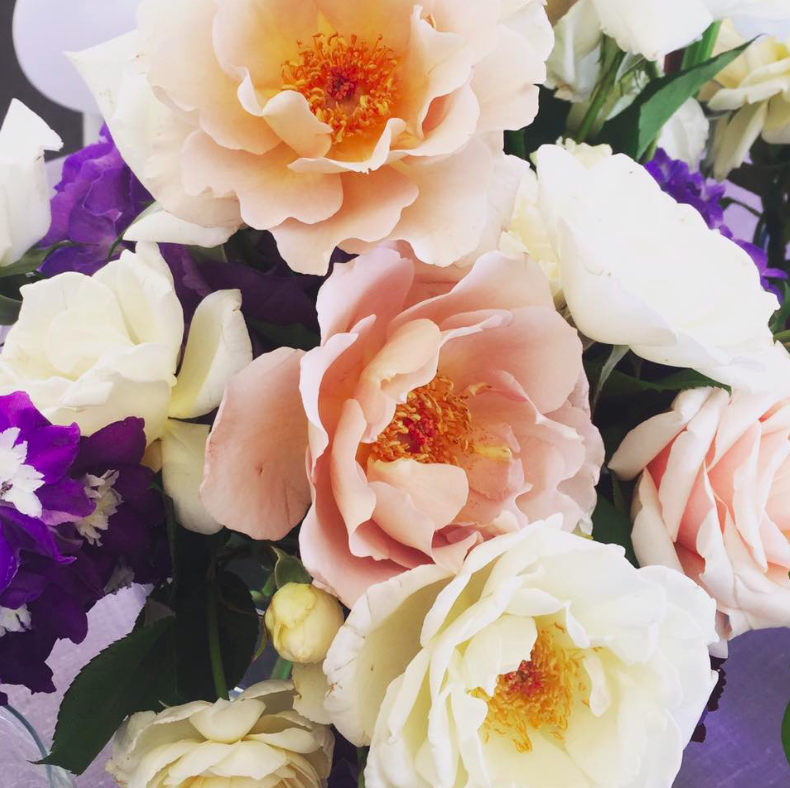 wilde_flora_romance_rose.png