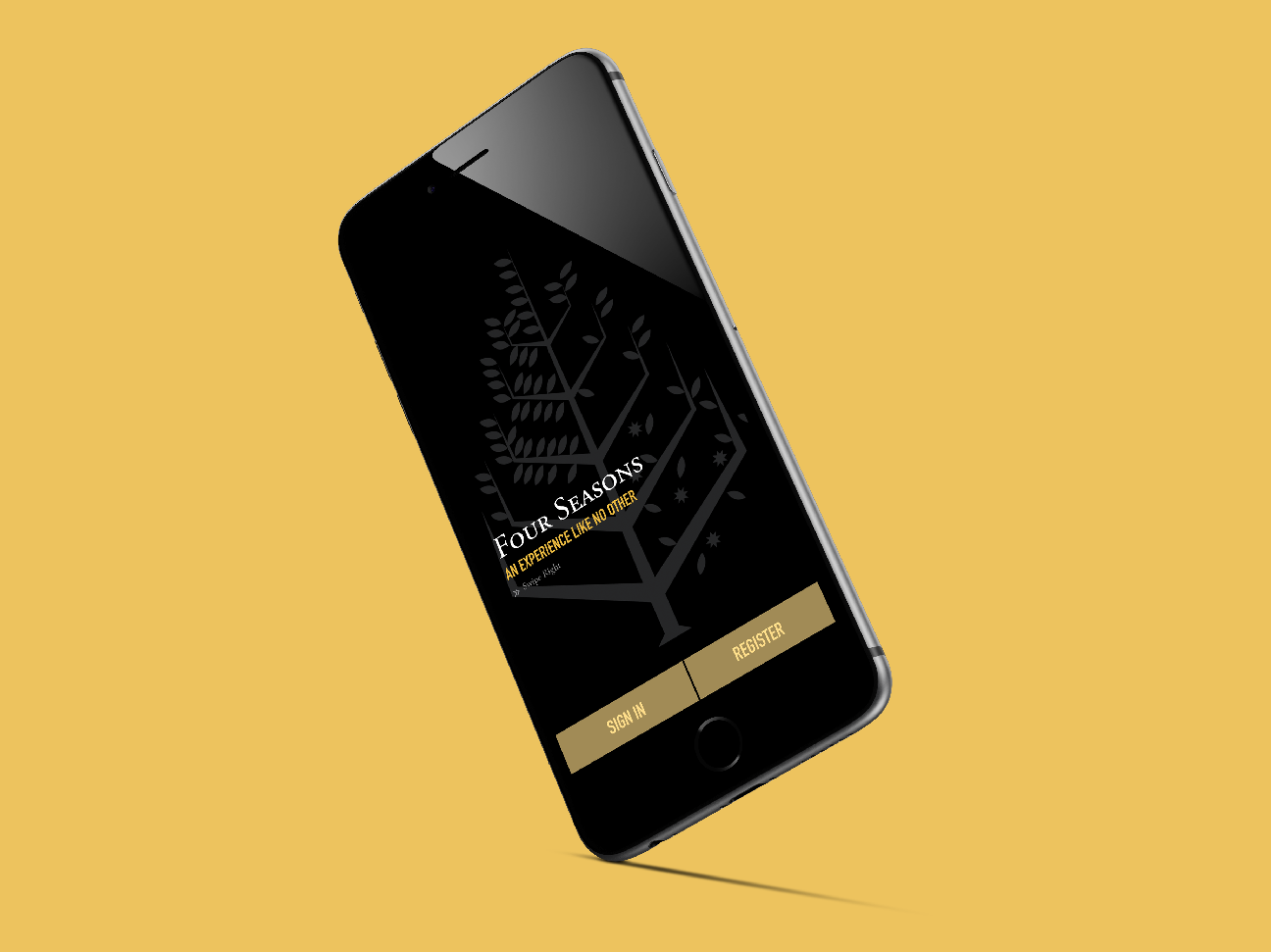 squarespace_thumbnail-02.png