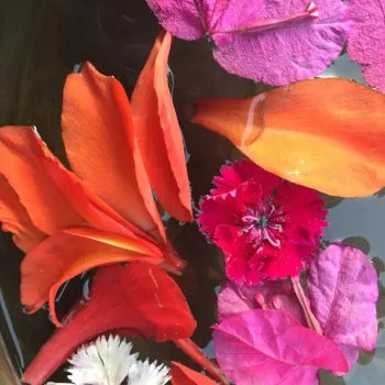 How Fragrances Enhance My Creativity On and Off the Mat