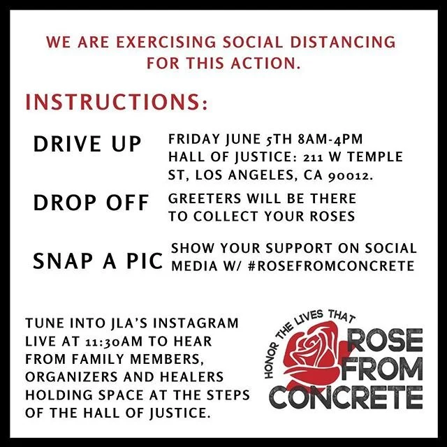 Join JusticeLA in honoring the lives we have lost to state violence and the people that continue suffering from Sheriff violence inside of LA County jails. JusticeLA is calling on the people of Los Angeles to lay roses on the steps of the Hall of Jus
