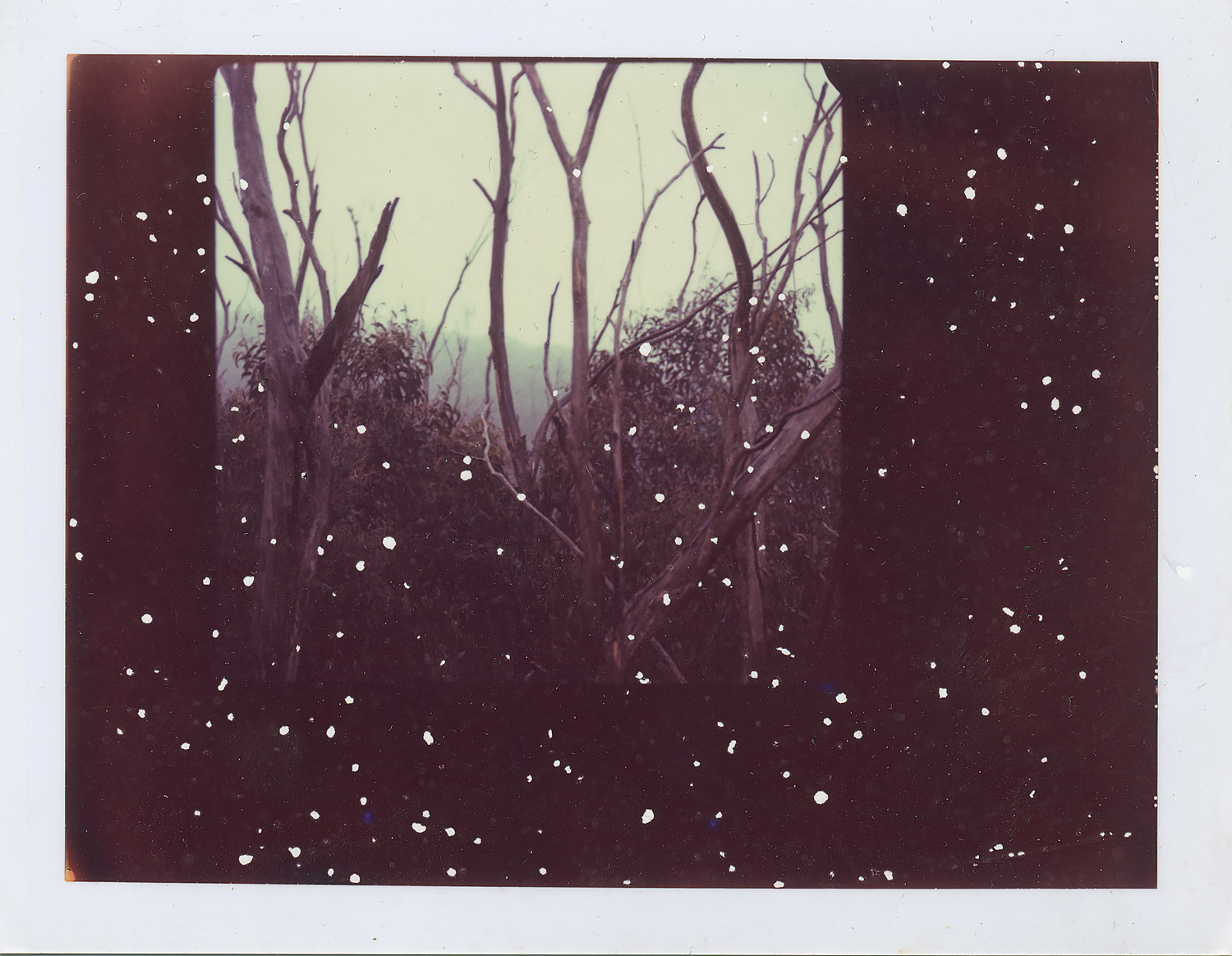 <i>Untitled #1</i>, 2007, Polaroid ER 669, 8.5 x 10.8 cm