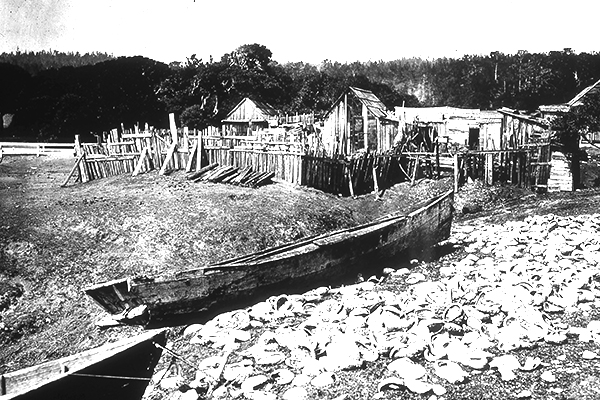 Old sampans and abalone shells, Pescadero, Monterey County, c. 1880.