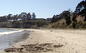This photograph shows the same angle as the one the left 90 years later. Note that the bluff on the right is now covered with vegetation. The trees in the distance are the same as or descendants of those showing in the earlier photograph. Most are eucalyptus. Note that the beach is much narrower now.