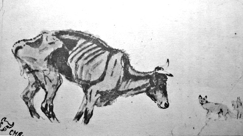 Drawing of a steer dying on the plains by Charles Russell. Note coyotes waiting in the wings. This scene was played out thousands of times in California during the drought of 1863-1864.