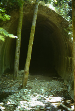 The Wright's end of the Summit Tunnel, 1973. The US Army collapsed this end of the tunnel on April 4, 1942.