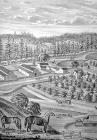 An 1879 etching of Claus Spreckels' summer farm in Aptos. Famous race horse is in the foreground, and in the back on the right you can see the close end of his race course. Present-day Polo Drive follows the outlines of the race course.