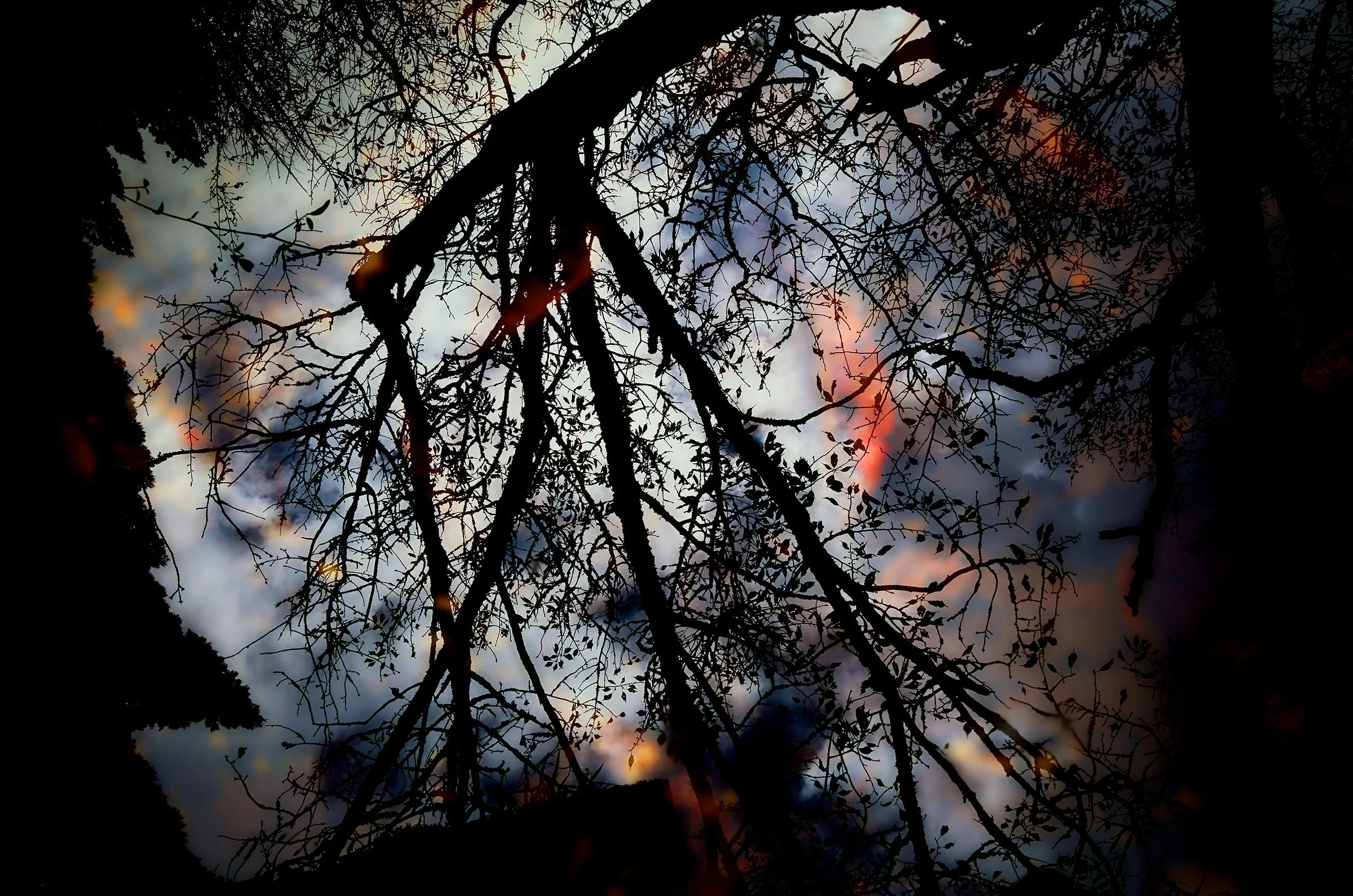 07 Water Reflection.jpg