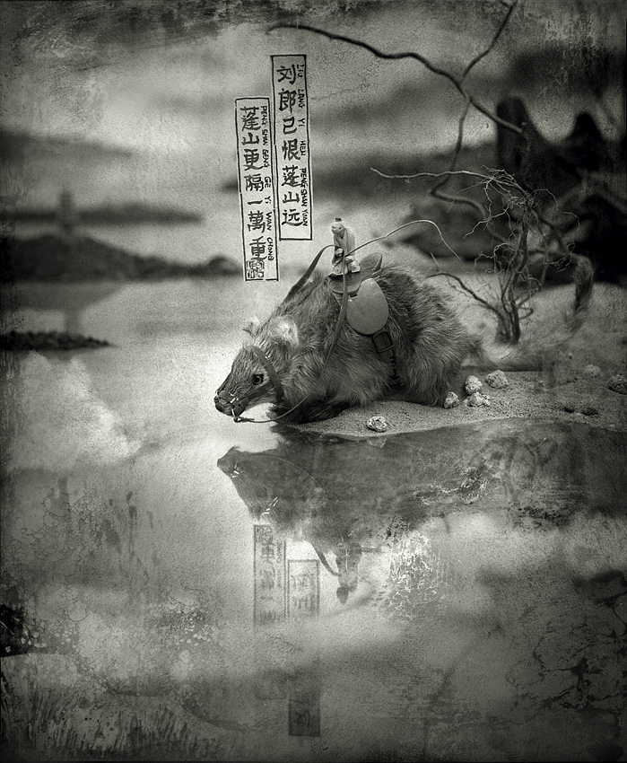 Sec Hand Tang Poem #1 90x75cm .jpg