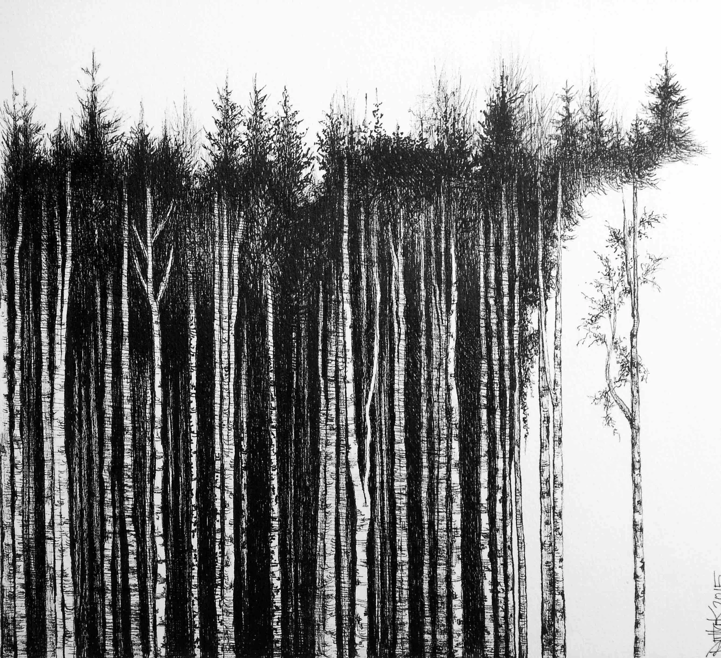 Riitta Kuisma, Into the woods #5, 2015, 20x20cm, drawing pen on paper, HKD 8800