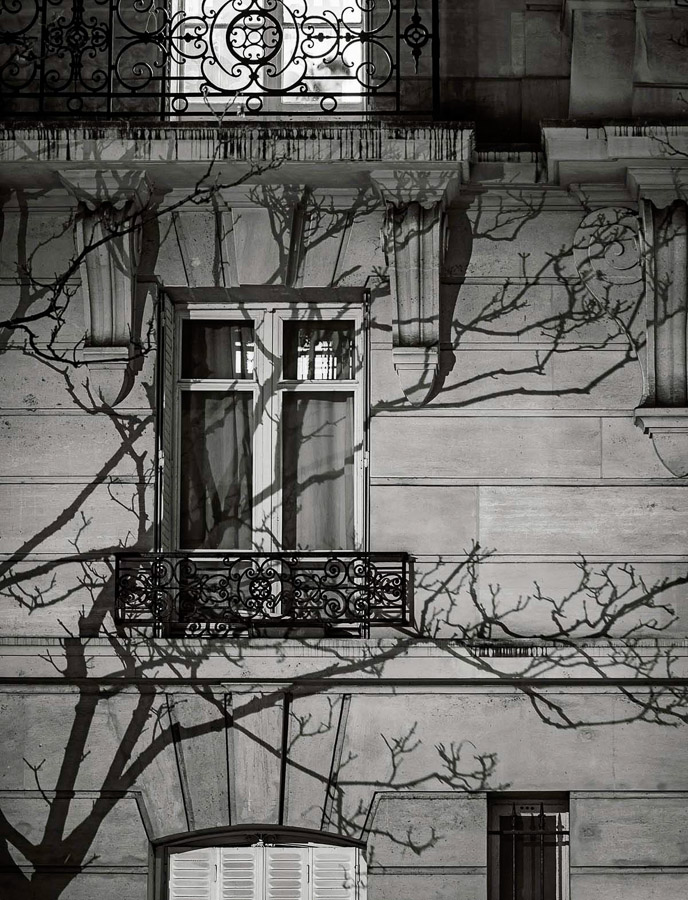 Michael Wolf, Paris Tree Shadows #8, archival pigment print, 40 x 50 cm .jpg