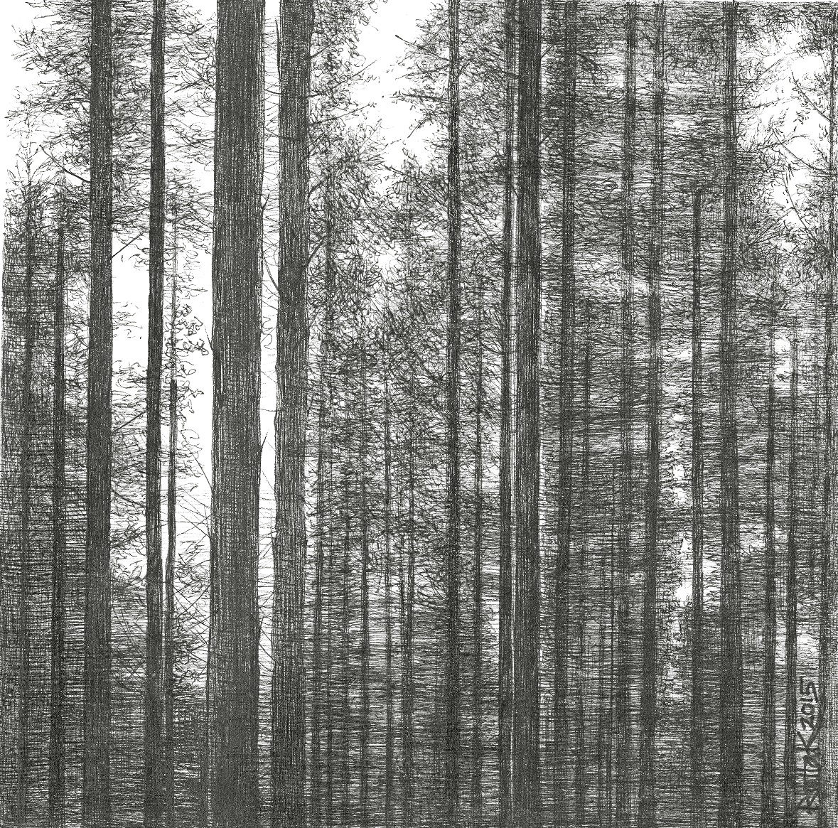 Riitta Kuisma, Into the woods II, 2015, 20x20cm, fine pen drawing on paper.jpg