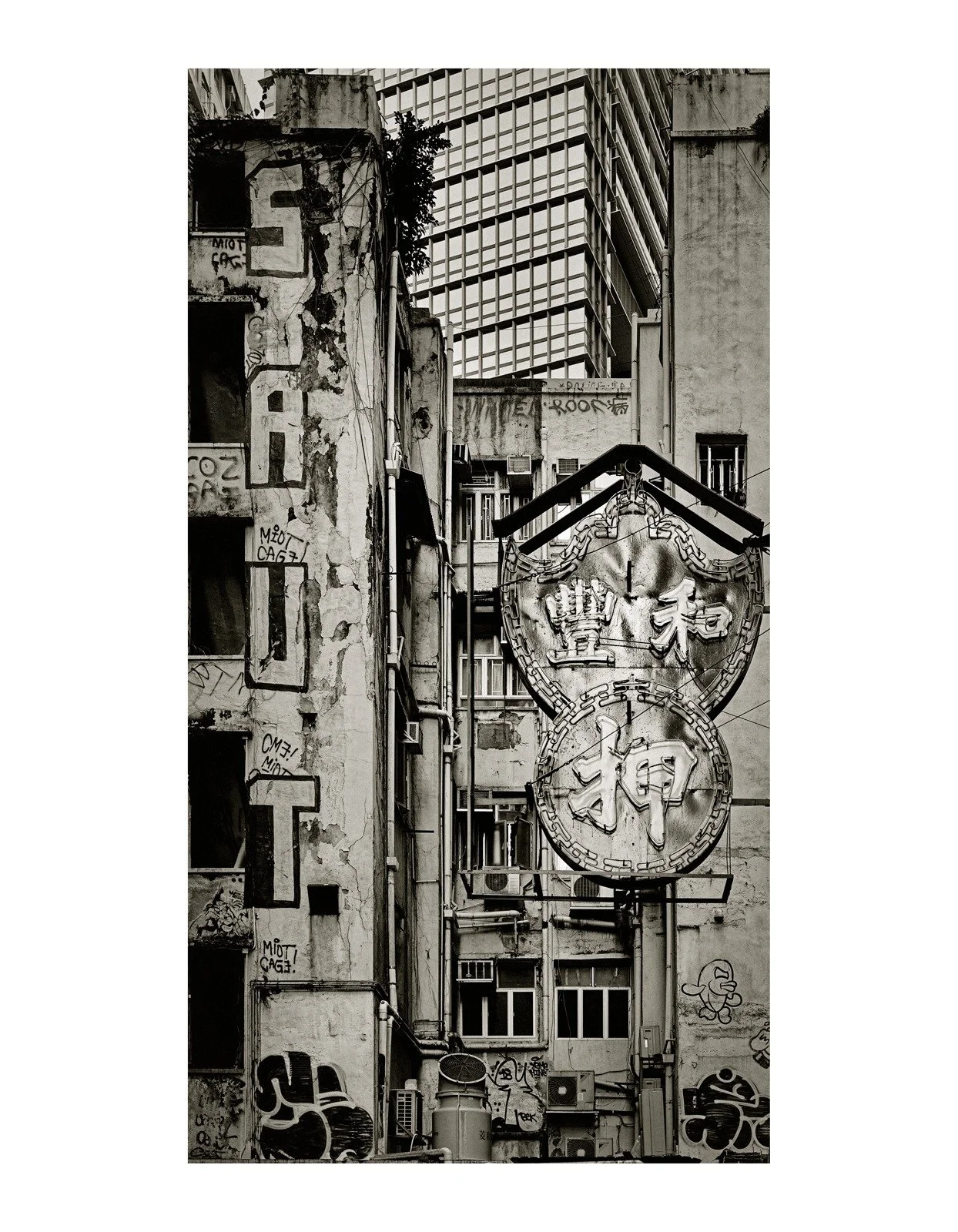 WhatsApp Image 2023-10-03 at 14.57.34 (1).jpeg