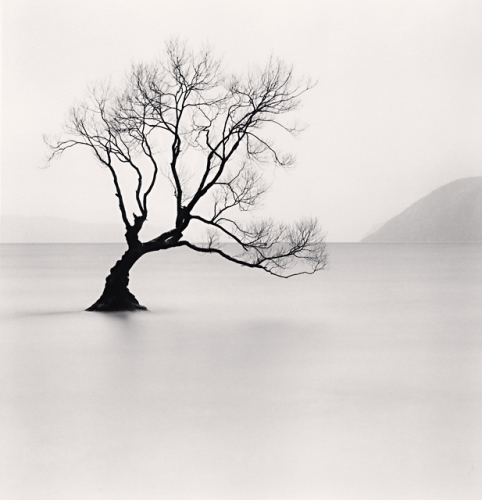 Wanaka Lake Tree, Study 1, Otago, New Zealand. 2013.jpg