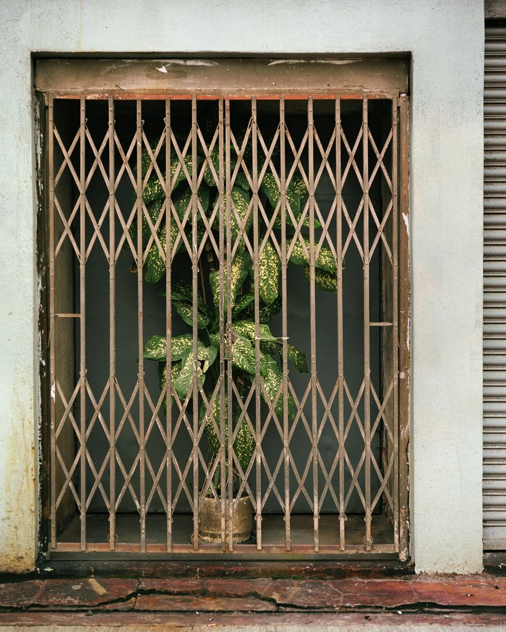 back_door_08.jpg