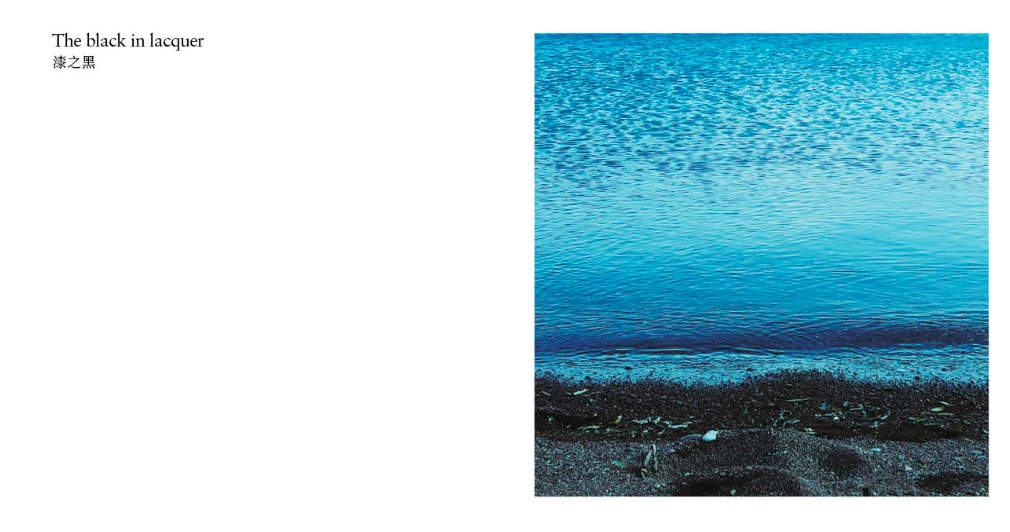 Screen Shot 2019-01-20 at 11.22.41 AM.png