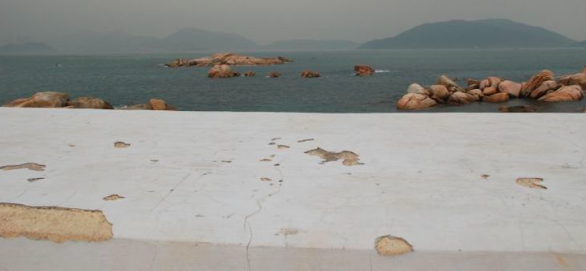 Screen Shot 2019-01-20 at 2.16.23 PM.png