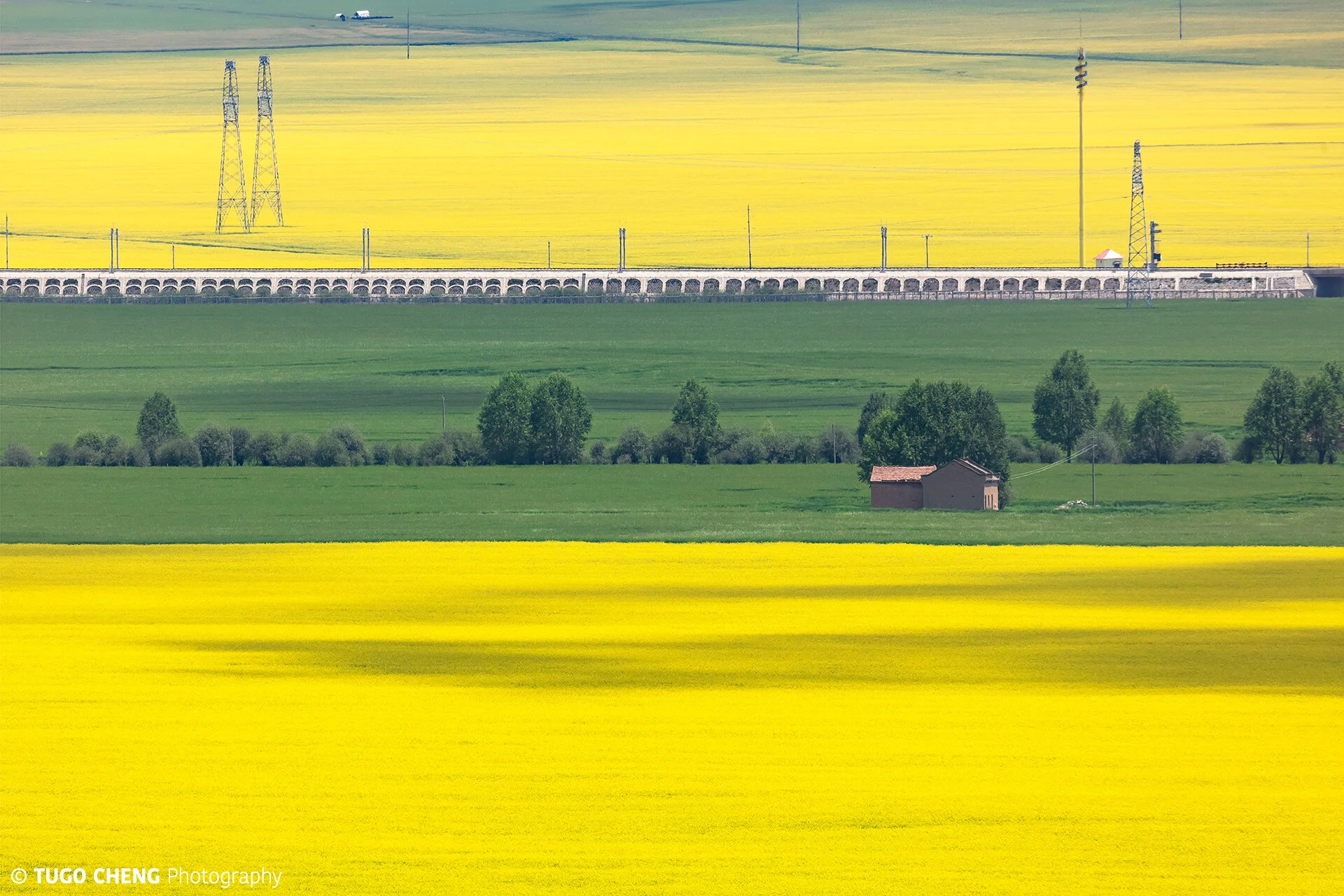 'Qinghai #4', China 2019