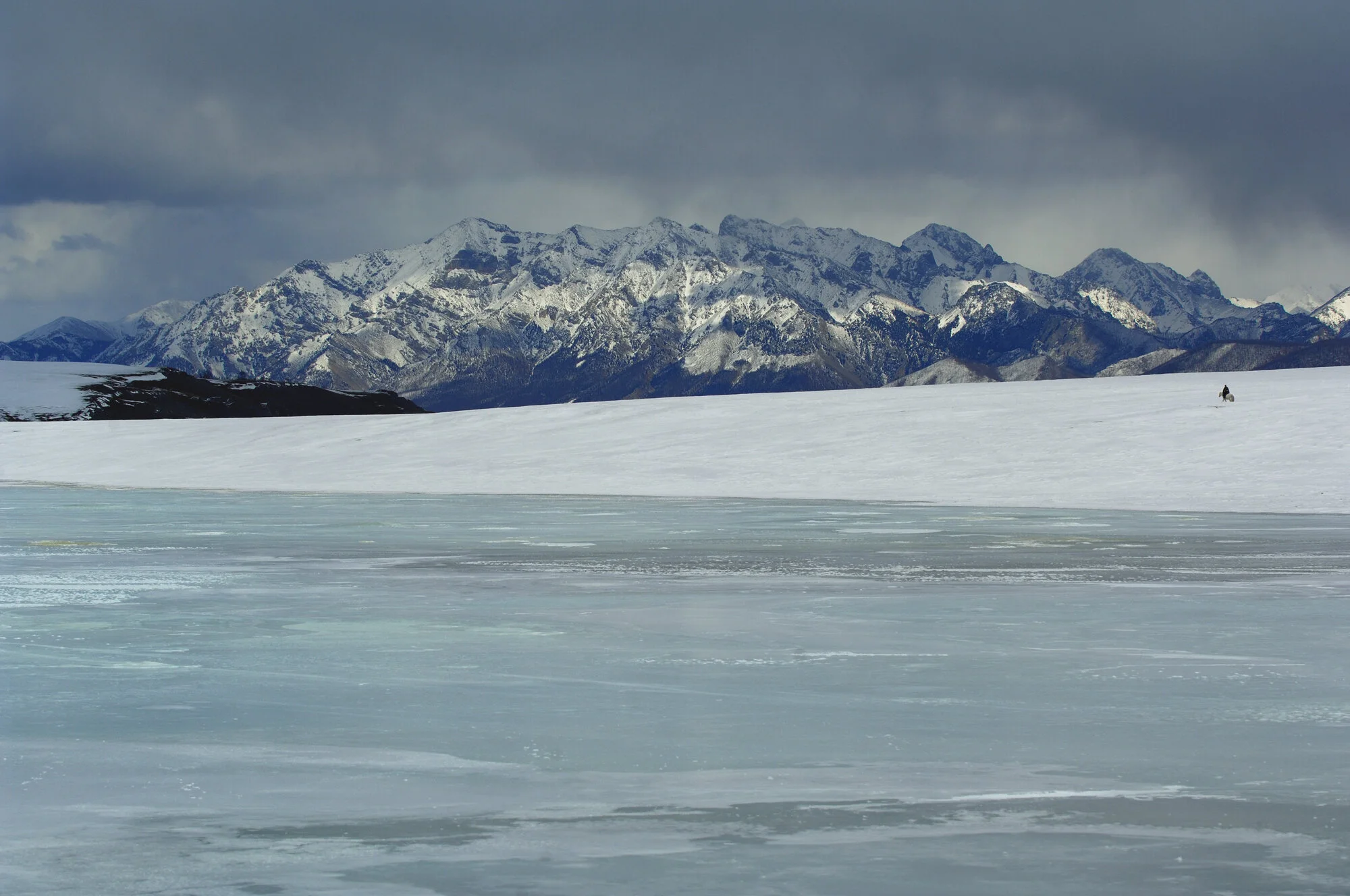 © Marc Progin 'In search of the wolf | A la traque du loup' Mongolia, 2007_Courtesy of Blue Lotus Gallery.jpg