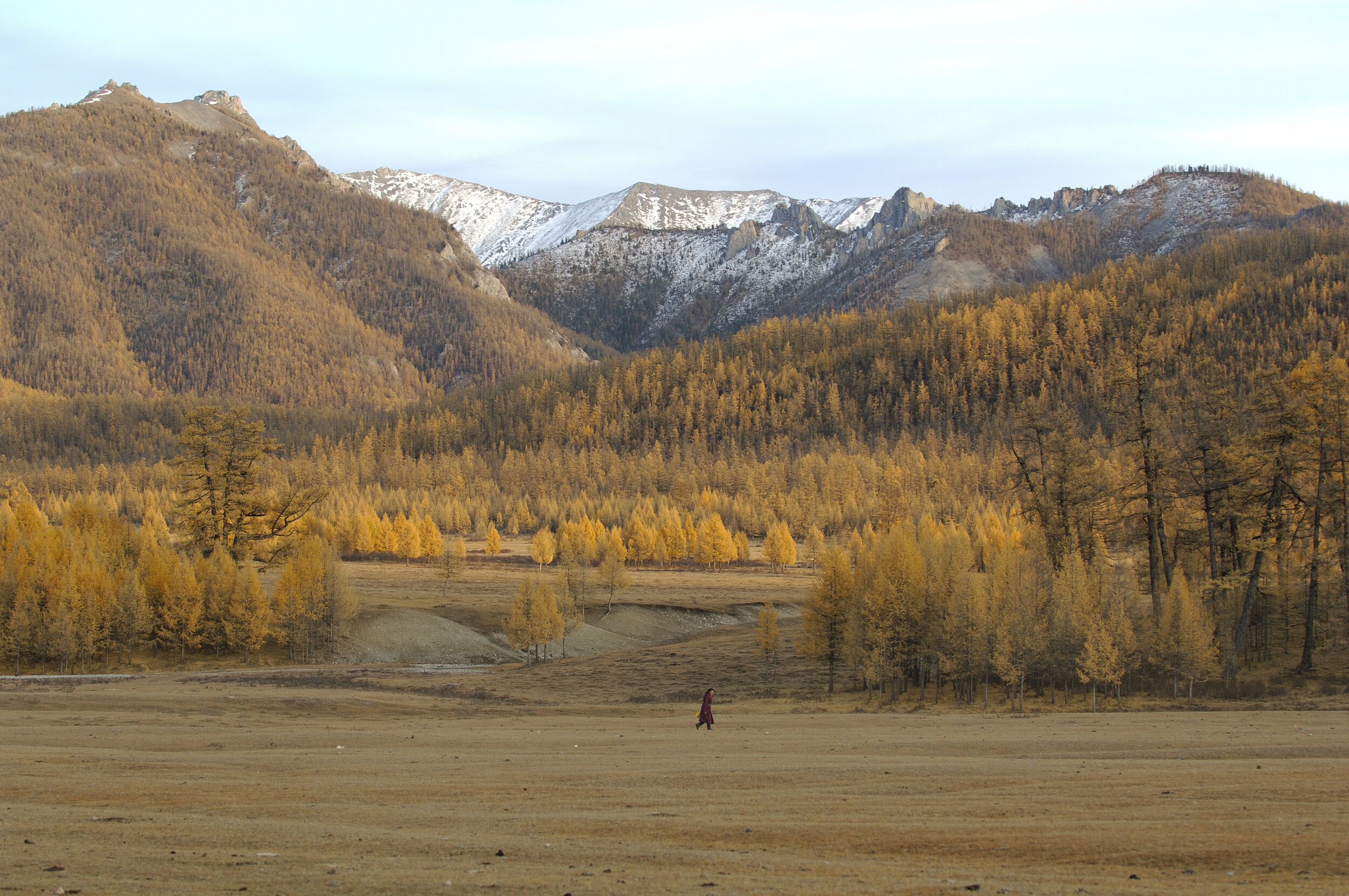 © Marc Progin 'Gold and silk embroidery | Broderie d'or et de soie' Mongolia, 2007_Courtesy of Blue Lotus Gallery.JPG