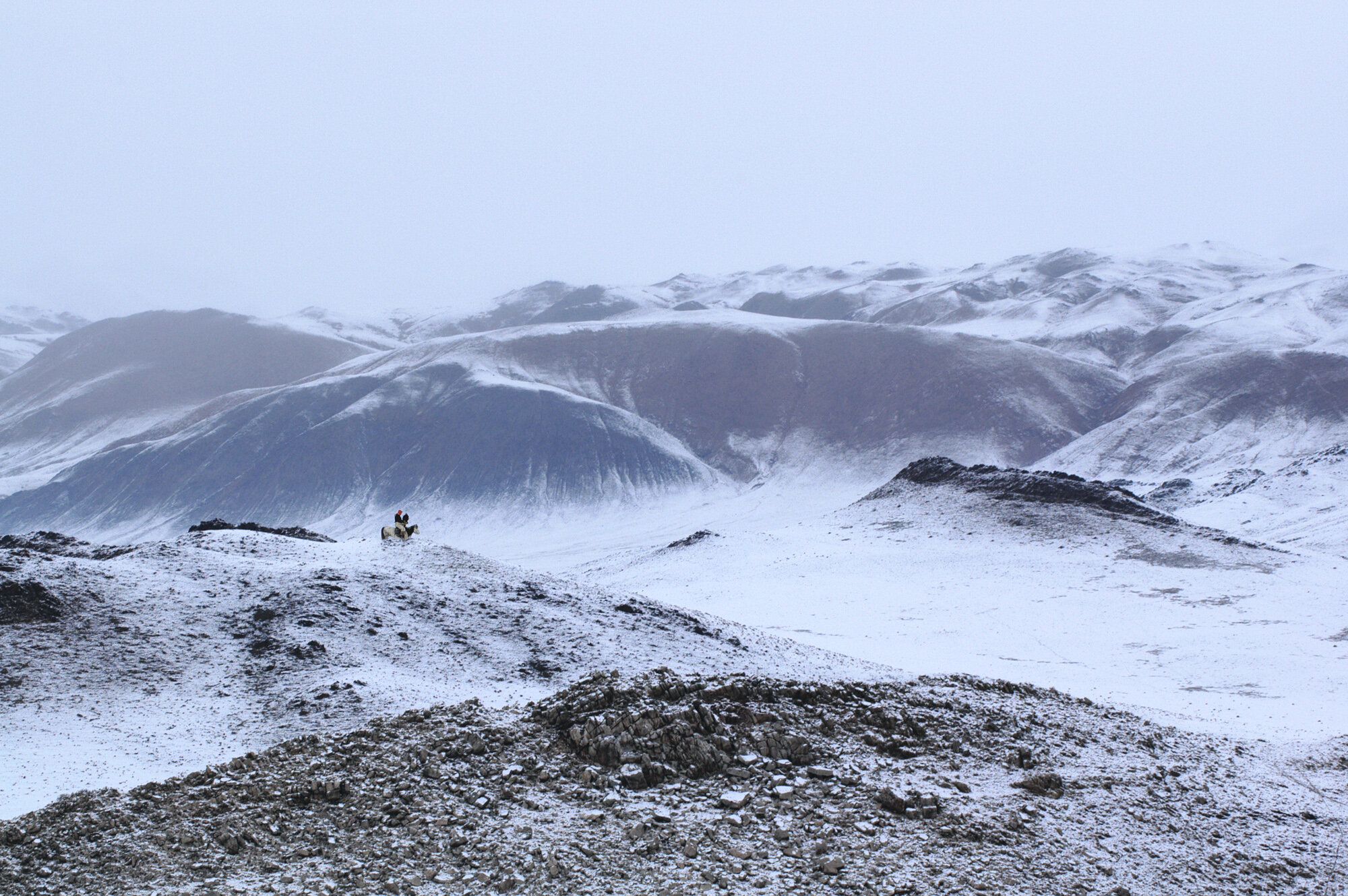 © Marc Progin 'Hunter on the lookout | Chasseur faisant le guêt' Mongolia, 2005_Courtesy of Blue Lotus Gallery.jpg