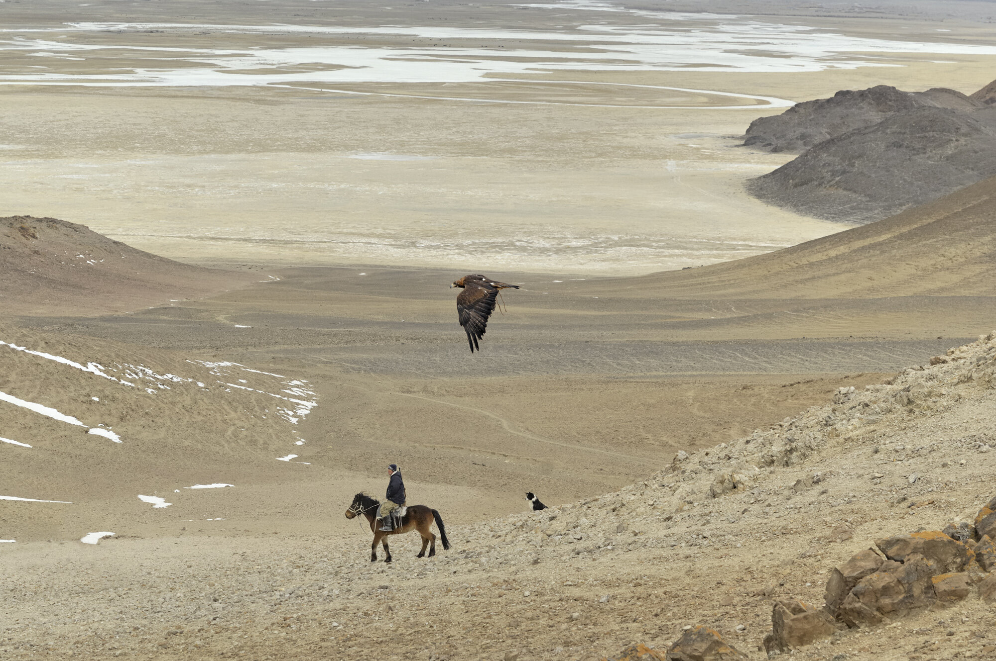 © Marc Progin 'The golden eagle | L'aigle royal' Mongolia, 2011_Courtesy of Blue Lotus Gallery.jpg