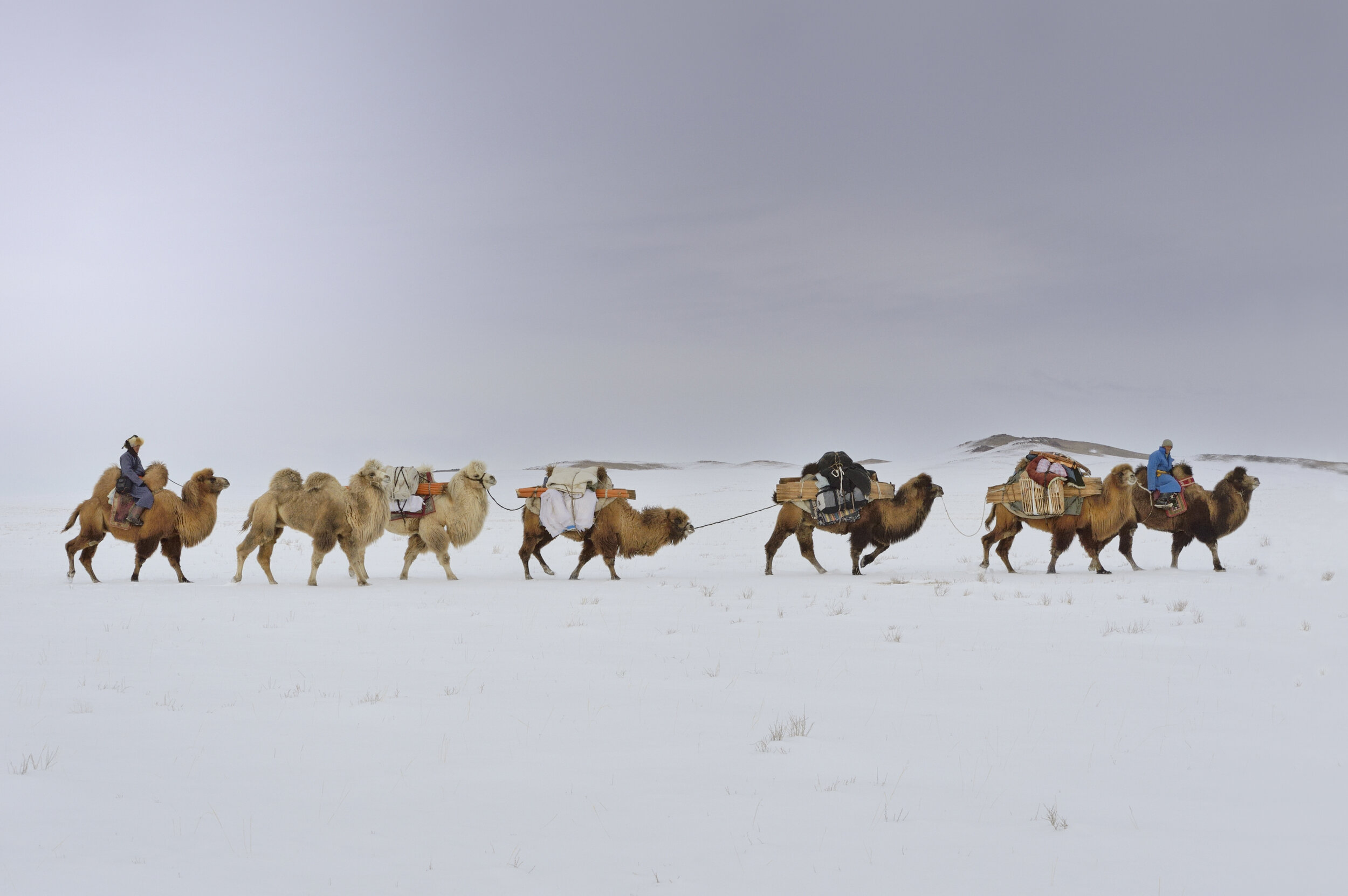 © Marc Progin 'The journey back to nature | Retour à la nature' Mongolia, 2014_Courtesy of Blue Lotus Gallery.JPG