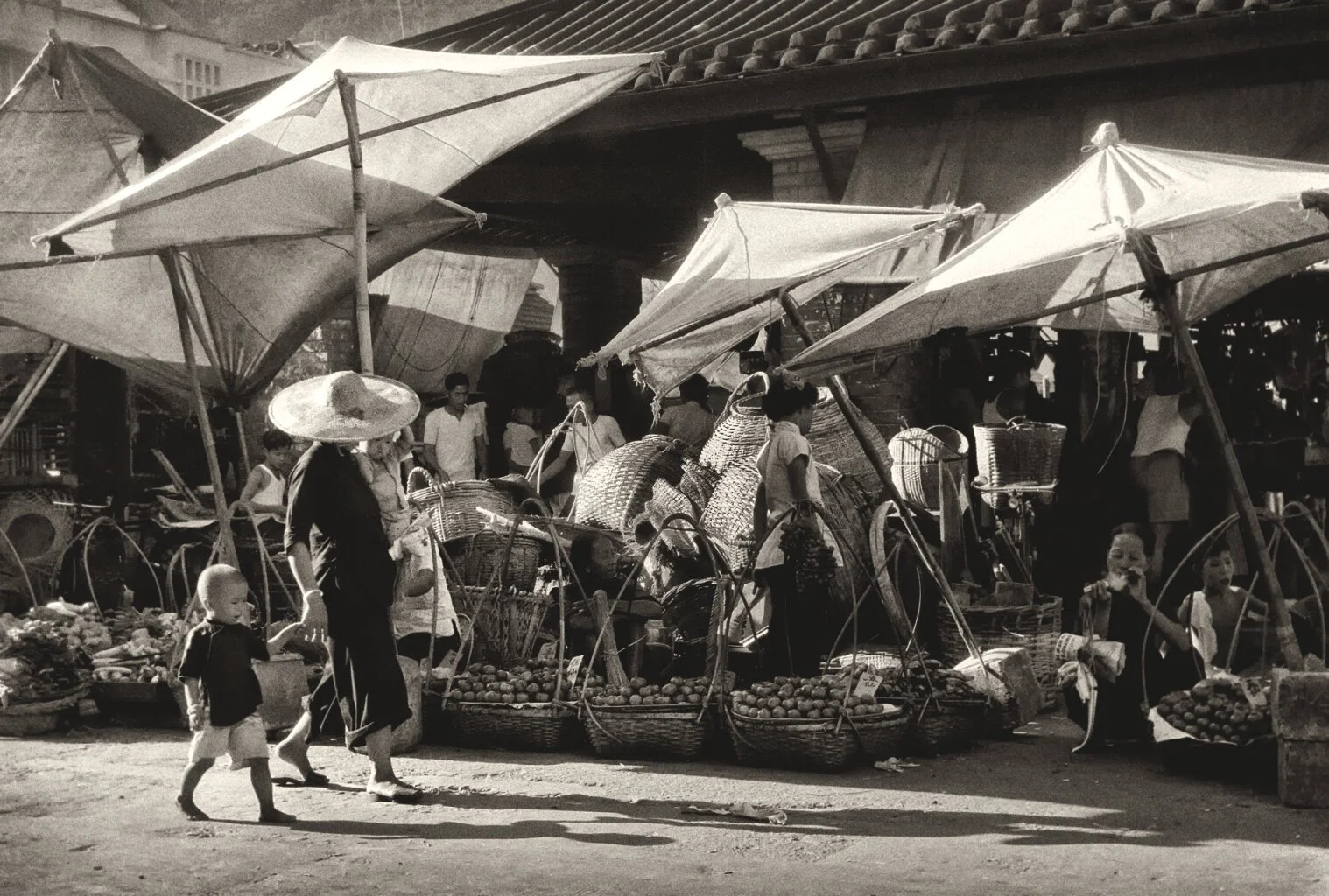 Dancing Canopies(白篷的舞步)_PHK.jpg
