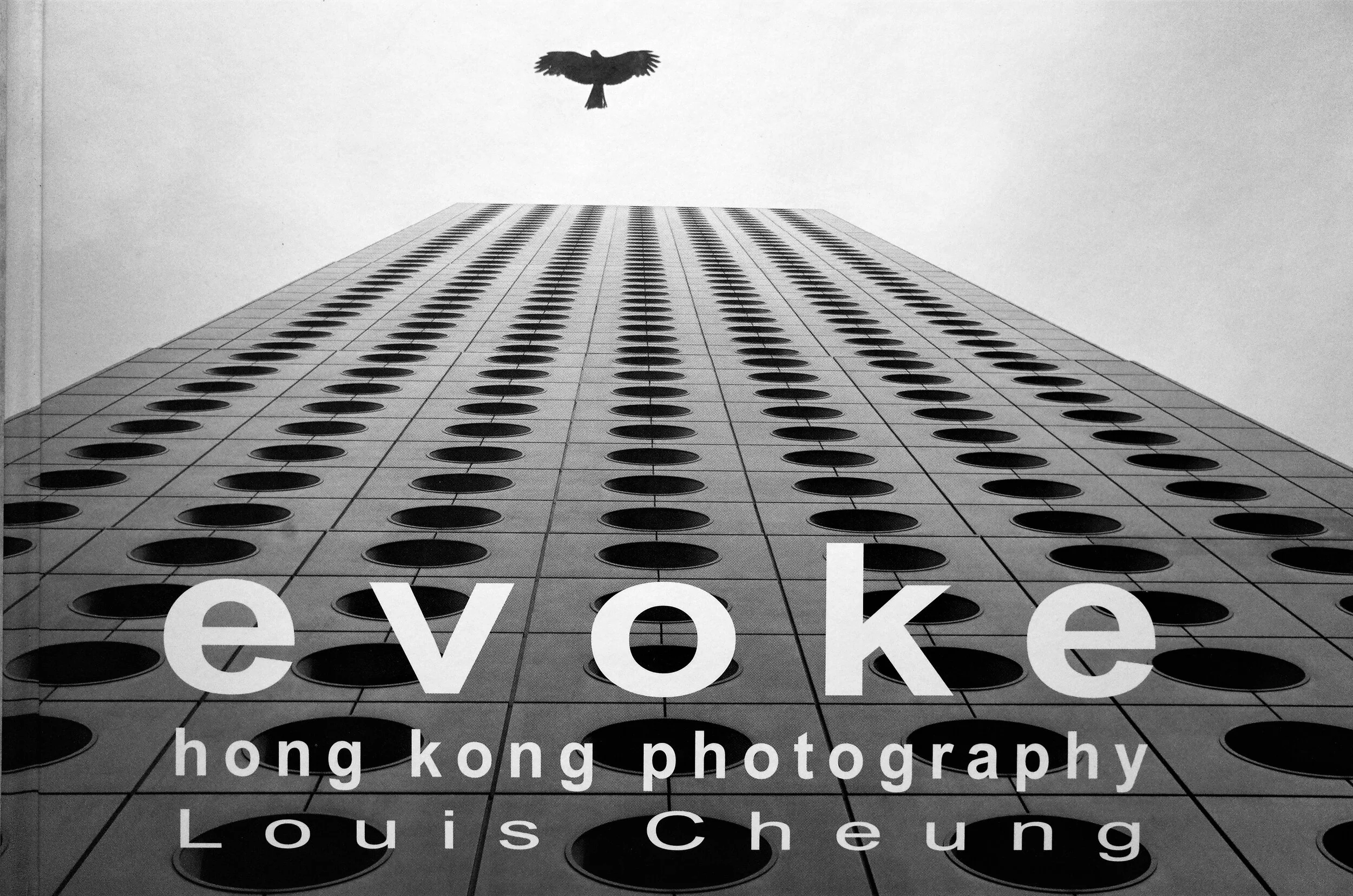 #######R0030556 Book cover.jpg