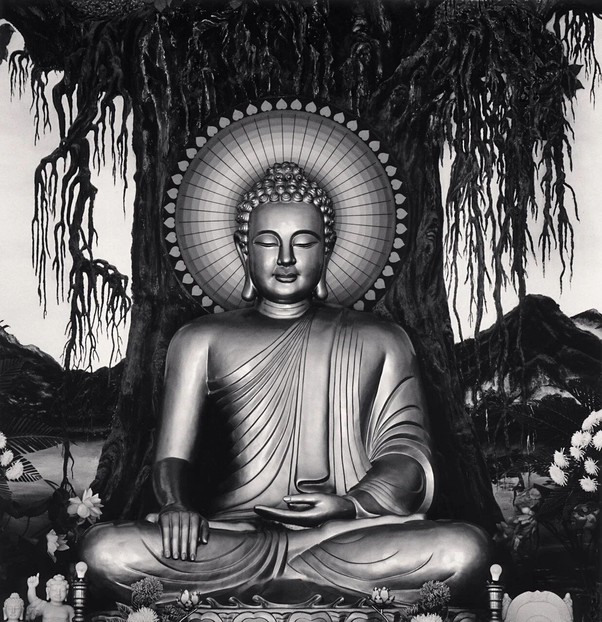 Buddha-and-Bodhi-Tree-Phuac-Hoa-Pagoda-Hue-Vietnam.-2019.jpg