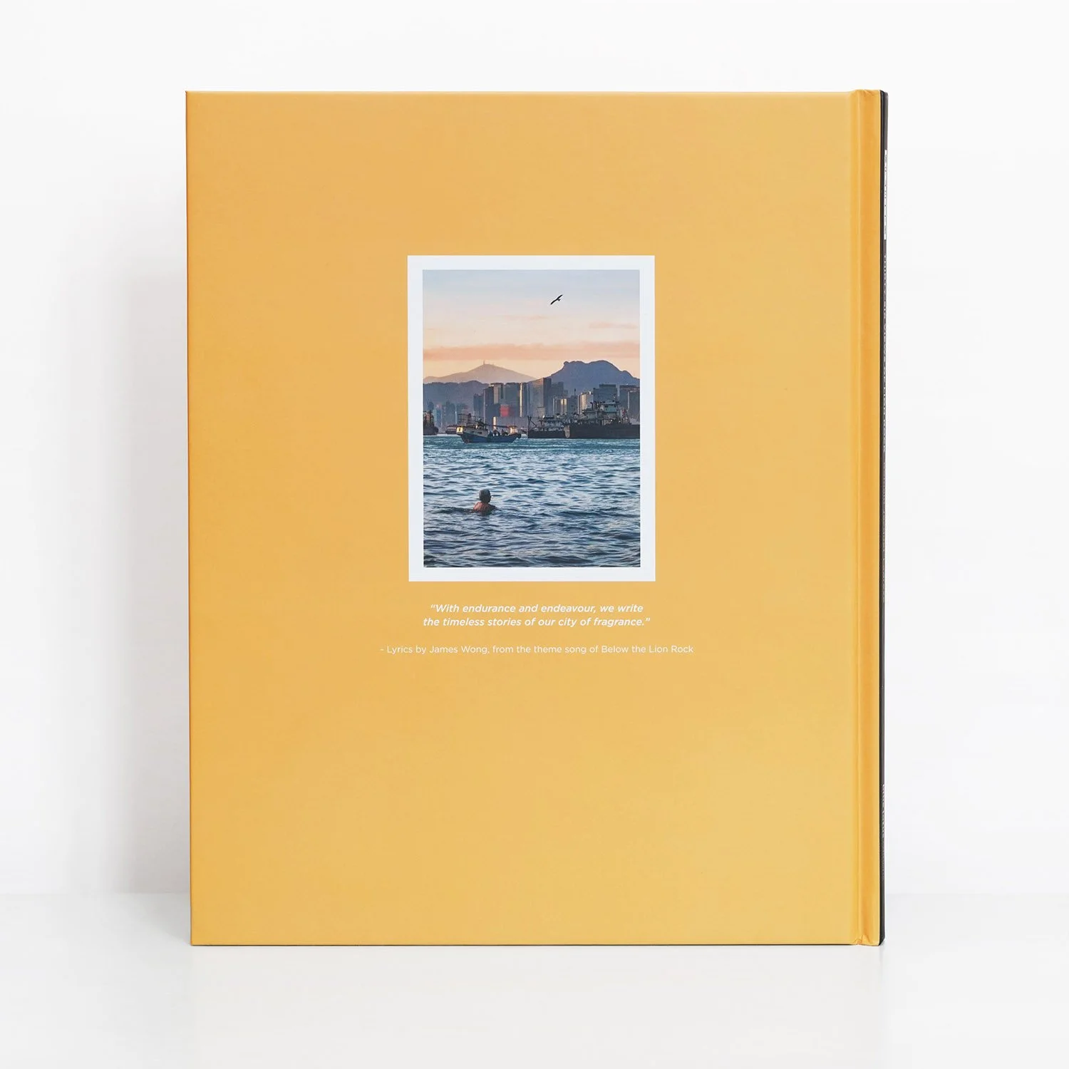 BackCover.jpg