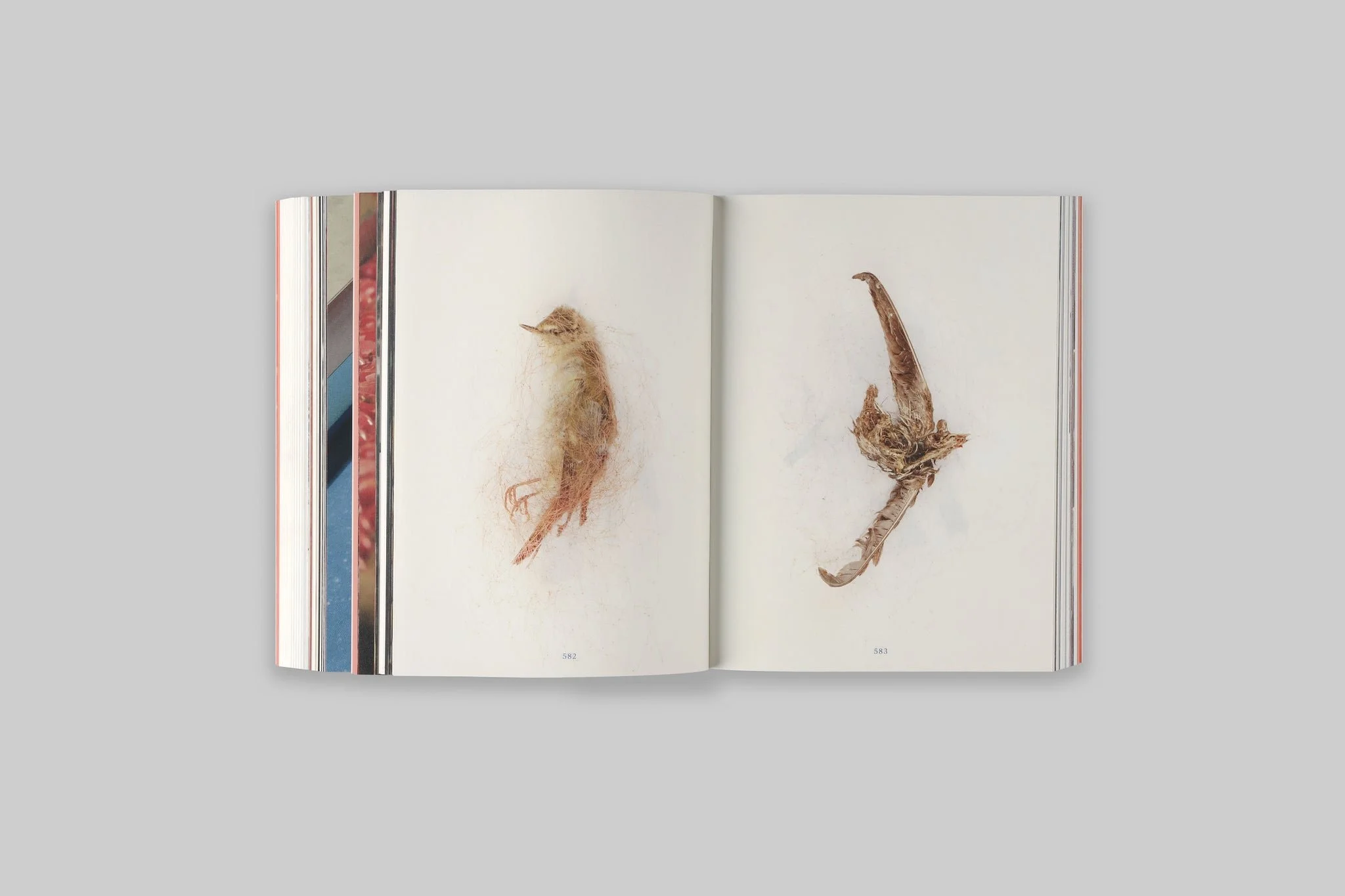 A Hometown_Zhang Xiao_13.jpeg