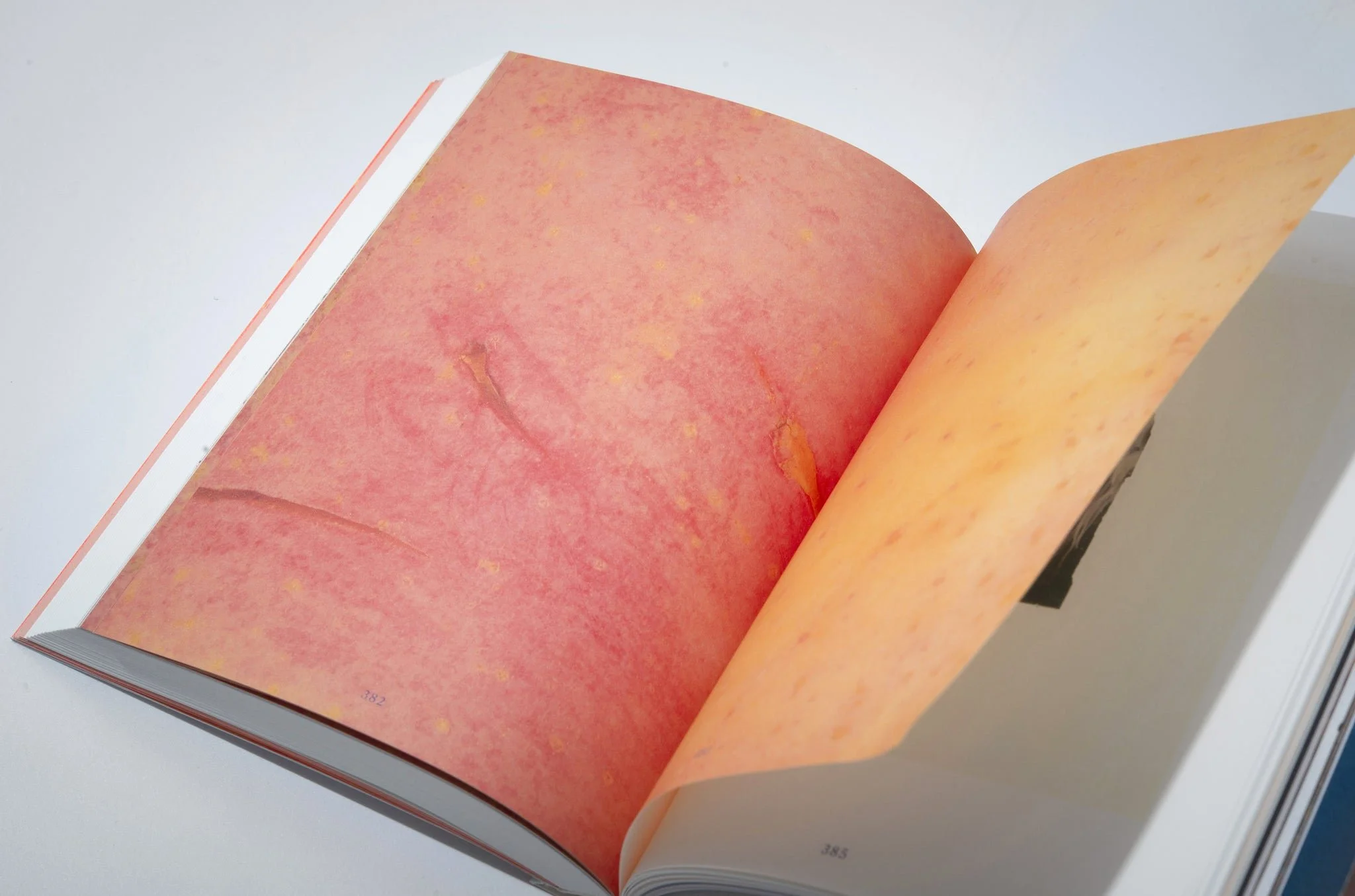 A Hometown_Zhang Xiao_6.jpeg