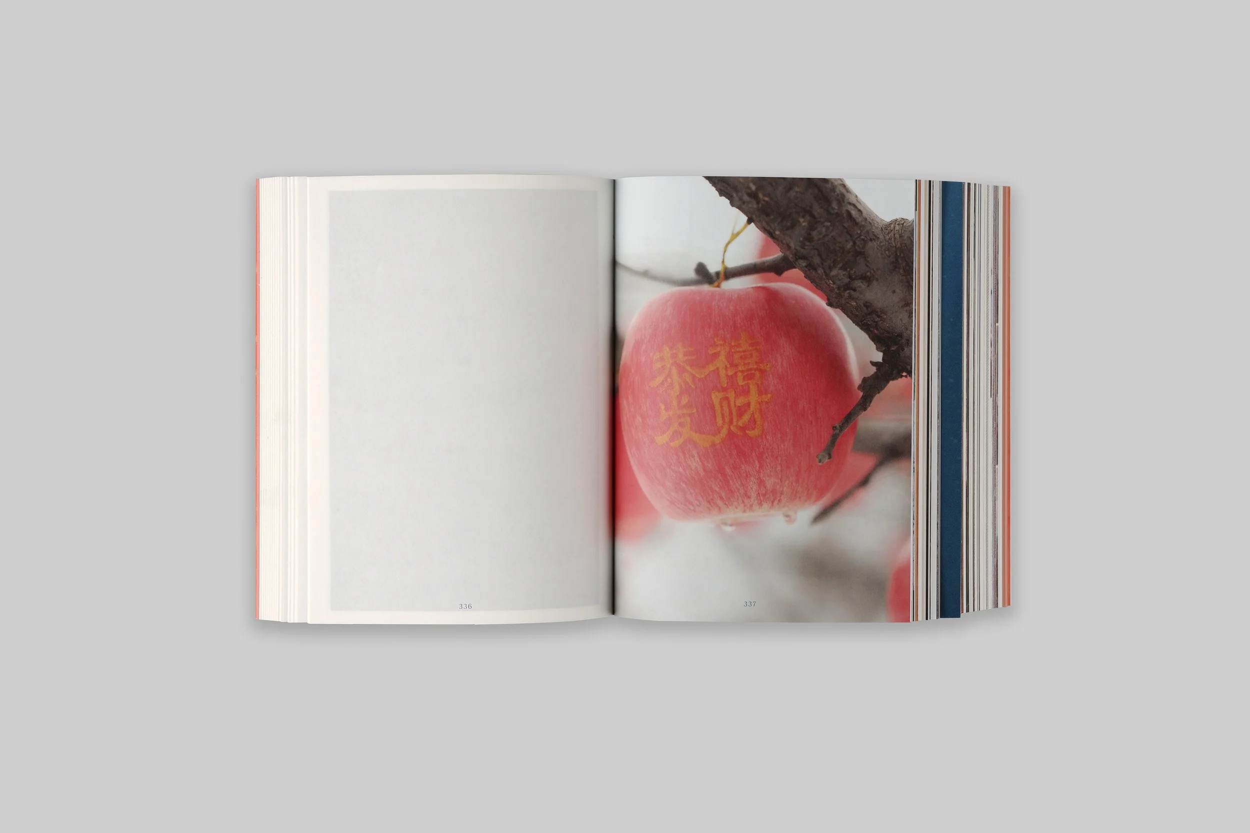 A Hometown_Zhang Xiao_4.jpeg