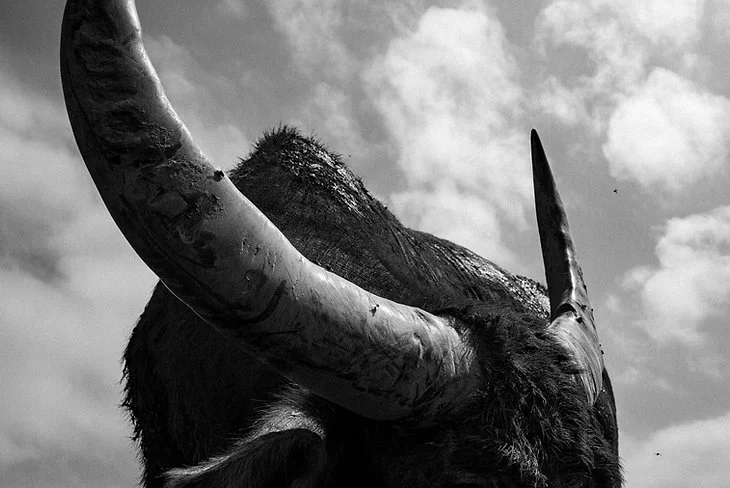 After Island_Chan Long Hei_2.jpeg