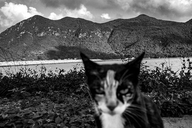 After Island_Chan Long Hei_5.jpeg